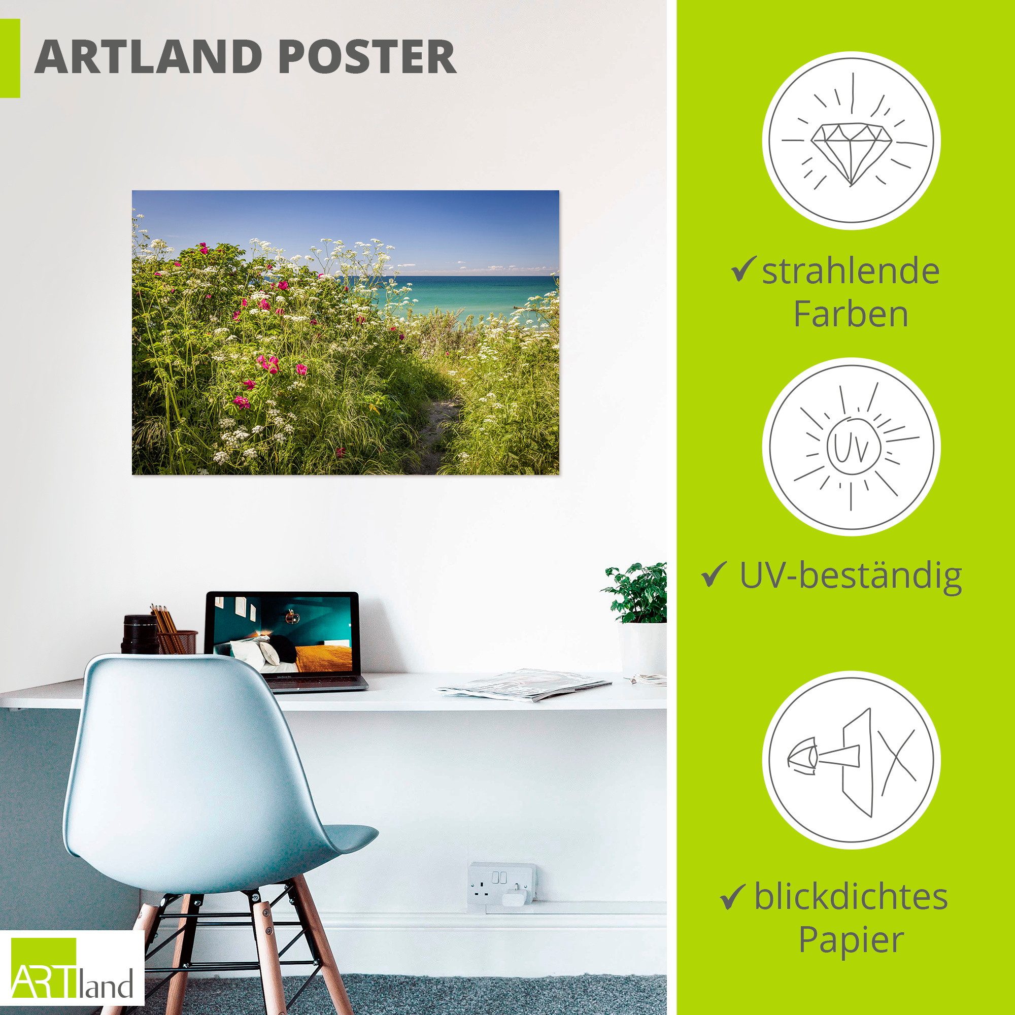 Artland Wandbild Frühling an der Küste in Ahrenshoop, (1 St), als Alubild, Leinwandbild, Poster, Wandaufkleber in verschied. Größen