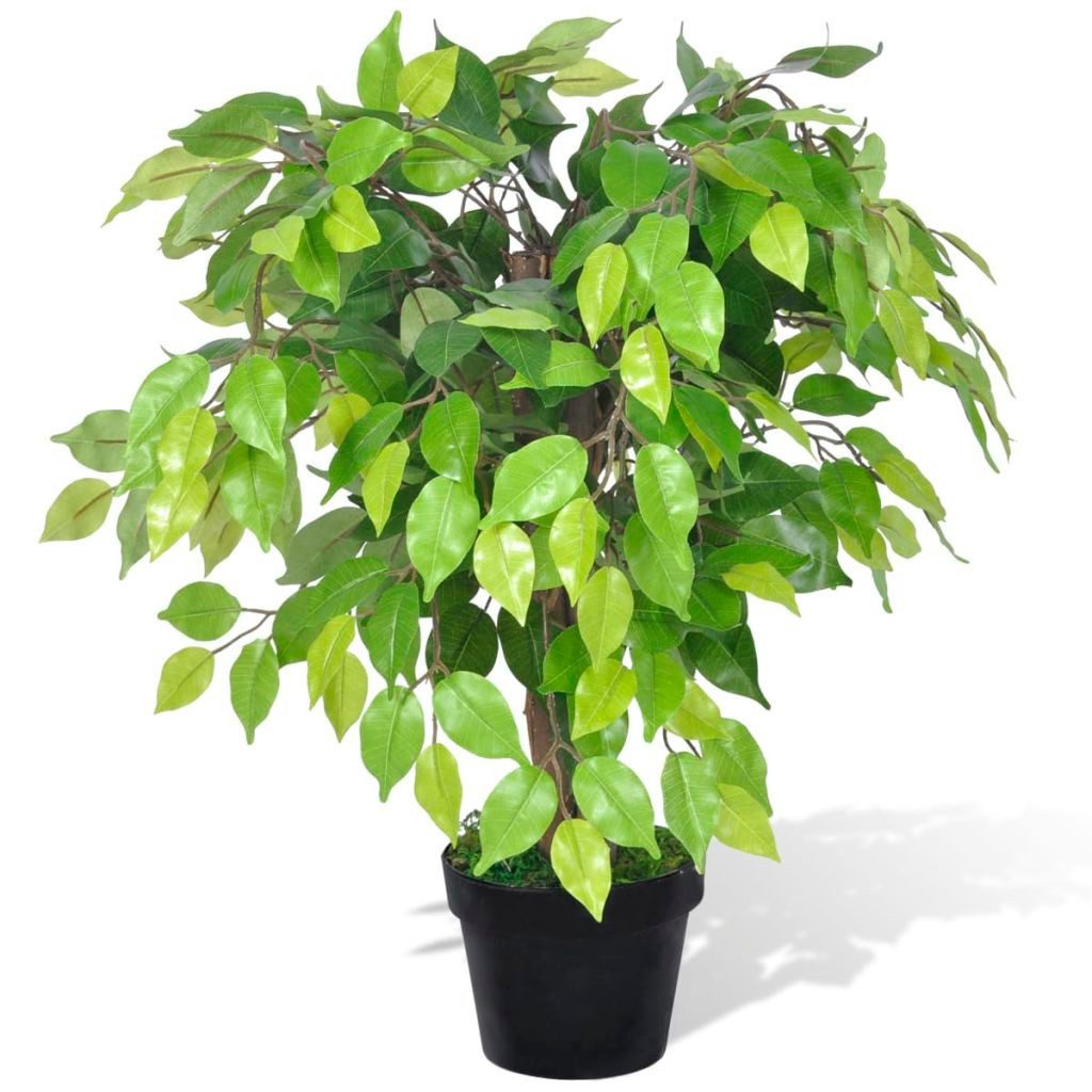 Künstliche Zimmerpflanze Künstlicher Zwerg-Ficus mit Topf 60 cm Pflanze realistisch echt, vidaXL, Höhe 0 cm
