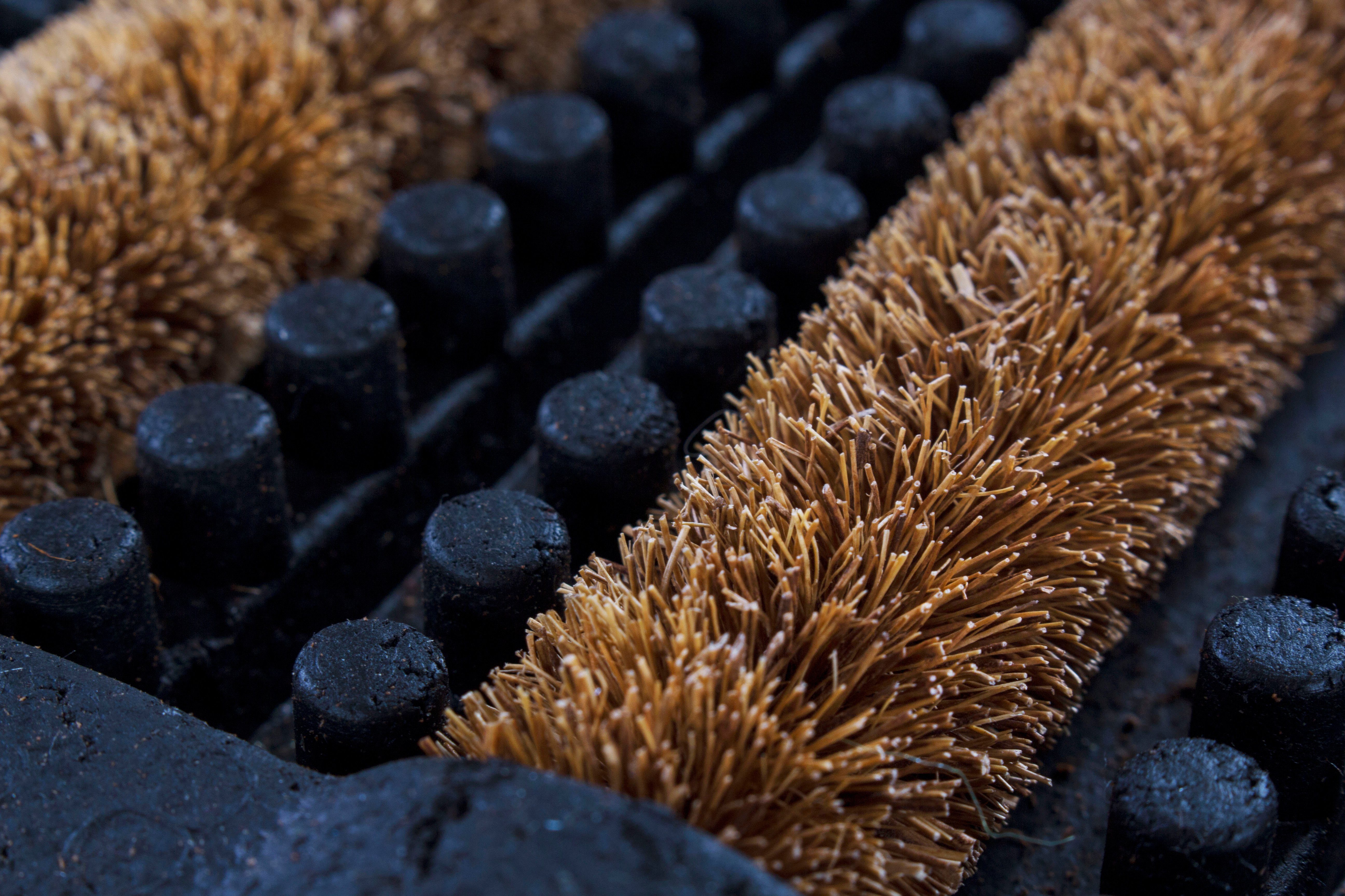 Andiamo Fußmatte Robusta, rechteckig, Höhe: 30 mm, Schmutzfangmatte, mit Bürsten aus Kokos, In- und Outdoor geeignet