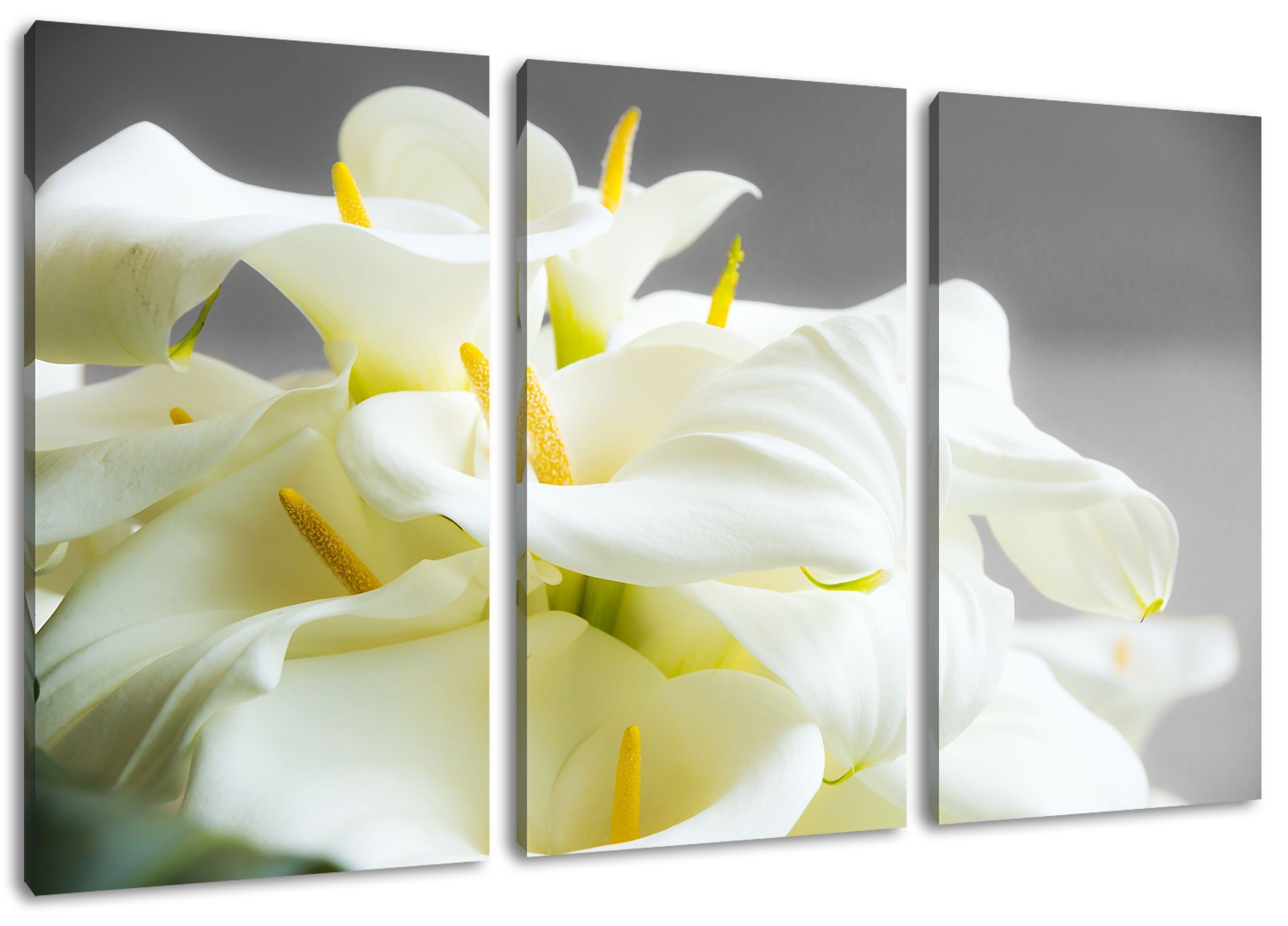 Pixxprint Leinwandbild Wunderschöne weiße Calla Lilien, Wunderschöne weiße Calla Lilien 3Teiler (120x80cm) (1 St), Leinwandbild fertig bespannt, inkl. Zackenaufhänger