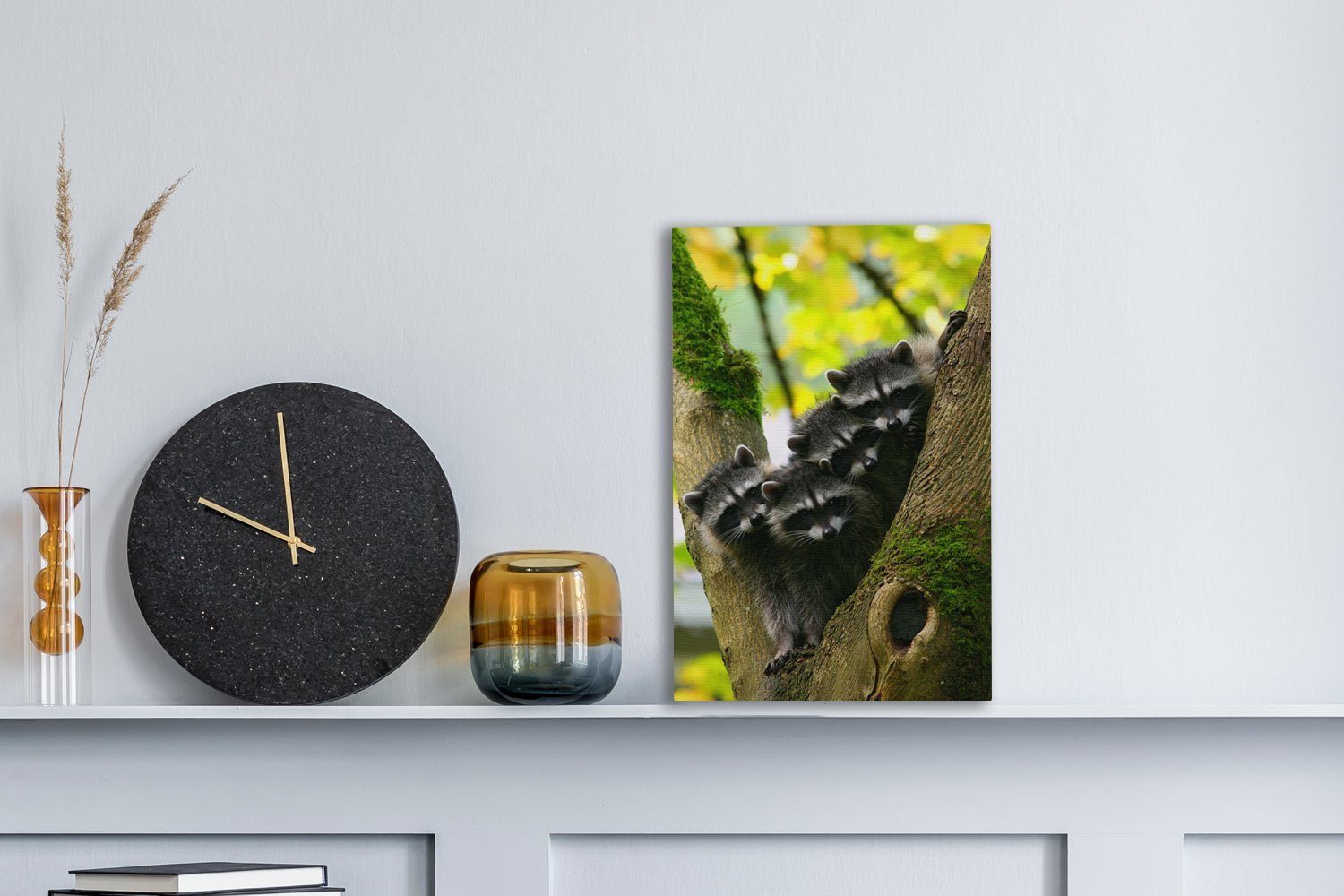 Gemälde, einem Leinwandbild in inkl. fertig (1 20x30 Zackenaufhänger, Baby-Waschbären cm Baum, Leinwandbild Gruppe von St), bespannt OneMillionCanvasses®