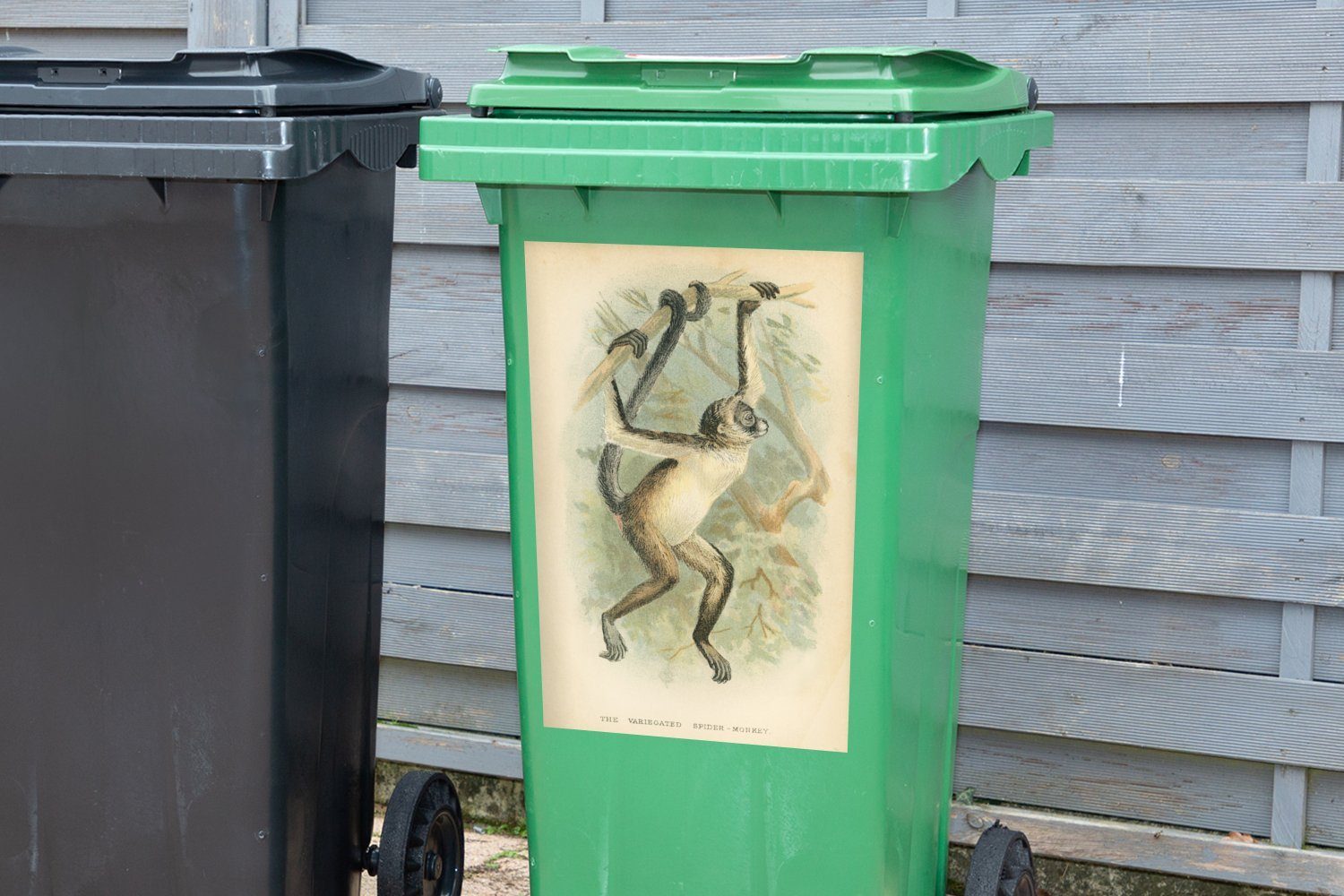 eines Wandsticker Sticker, MuchoWow Antike Illustration St), Mülltonne, Klammeraffen Mülleimer-aufkleber, (1 Container, Abfalbehälter