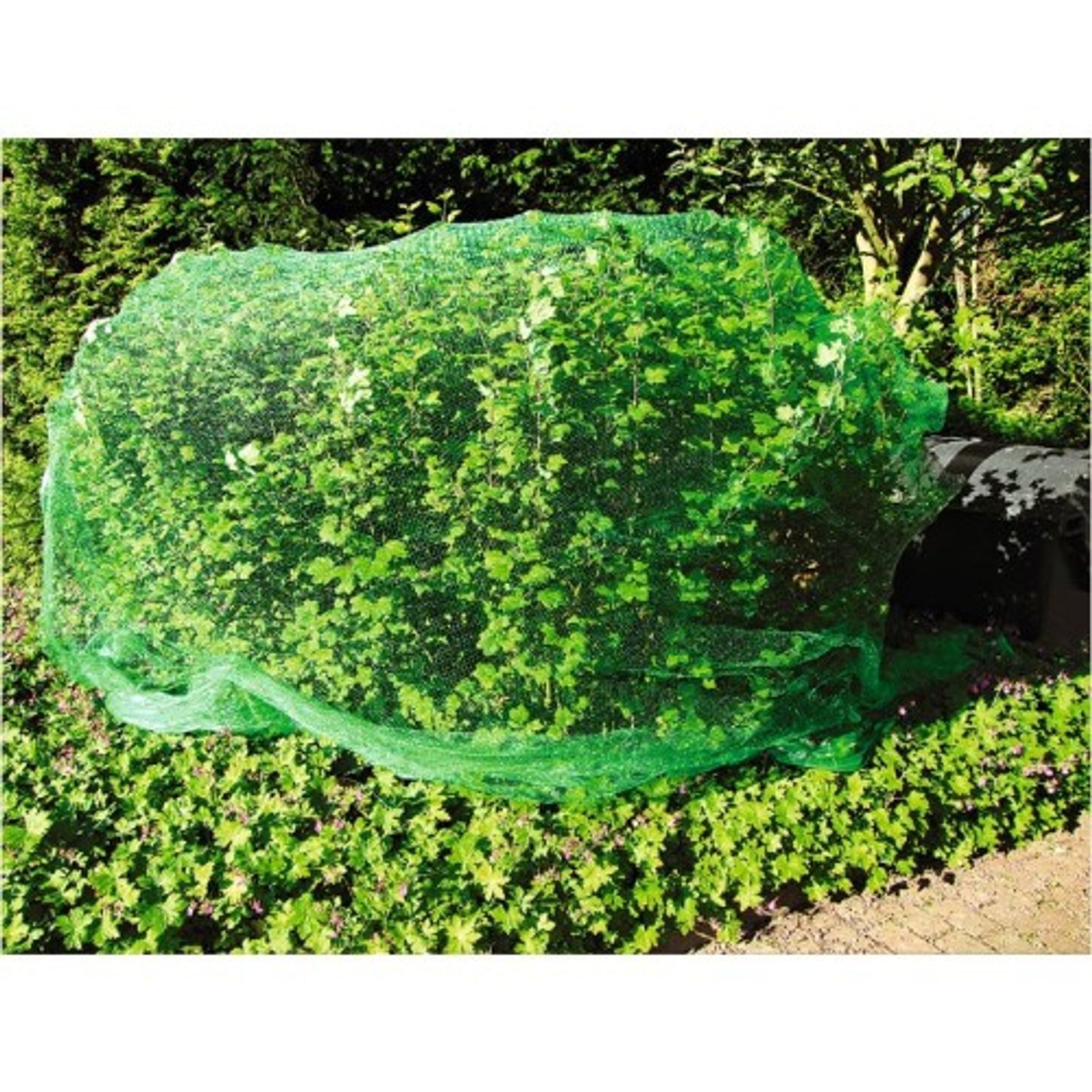 BURI Schutznetz Vogelschutznetz 5x4m grün Teichnetz Laubschutznetz Pflanzenschutznetz