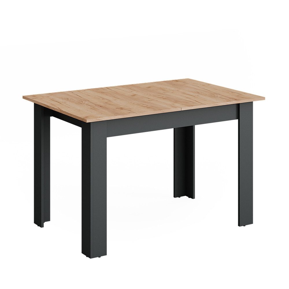 Vicco Esstisch Repose, Anthrazit/Goldkraft Eiche, 160 x 80 cm ausziehbar günstig online kaufen