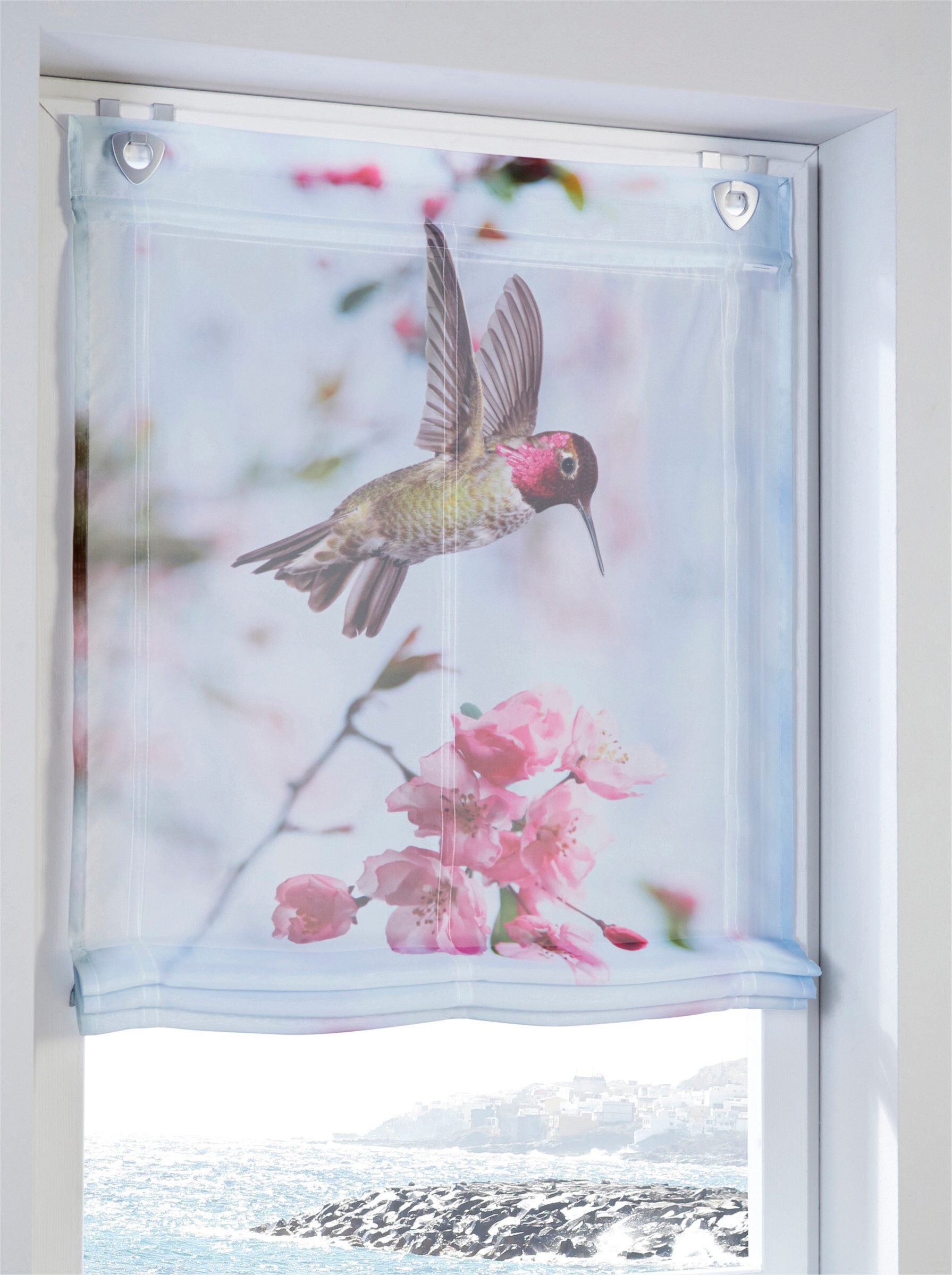 Rollo Raffrollo ., heine, transparent, Ösen mit Fensterhaken günstig online kaufen