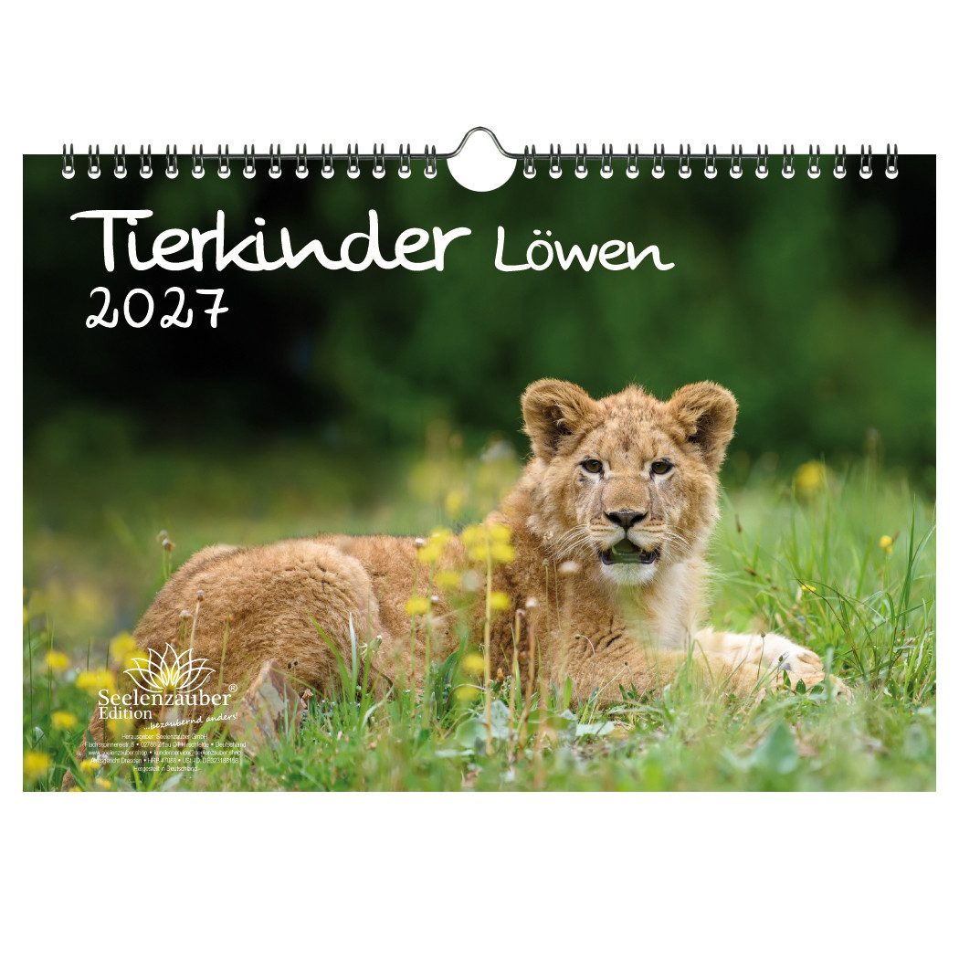 Seelenzauber Wandkalender Tierkinder Löwen DIN A4 Kalender für 2027 Löwenbabys - Seelenzauber