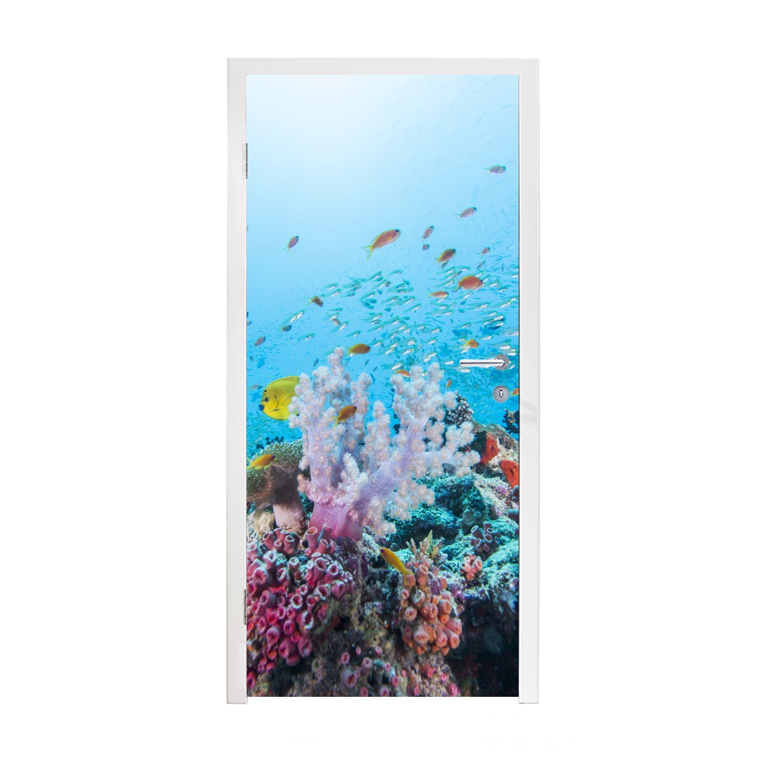 MuchoWow Türtapete Farbenfrohe Riffe und Korallen, Matt, bedruckt, (1 St), Fototapete für Tür, Türaufkleber, 75x205 cm