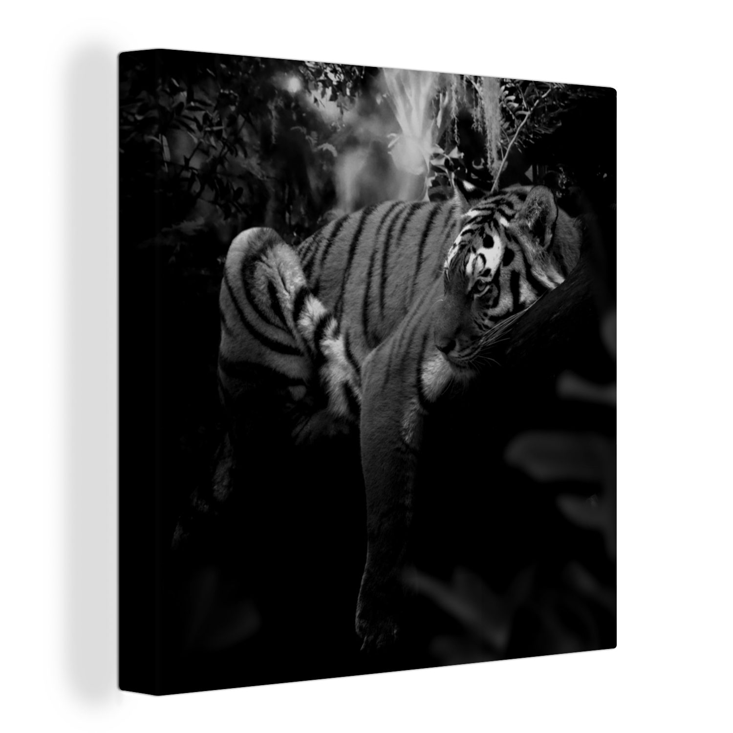OneMillionCanvasses® Leinwandbild Tiere - Tiger - Dschungel - Schwarz - Weiß, (1 St), Leinwand Bilder für Wohnzimmer Schlafzimmer