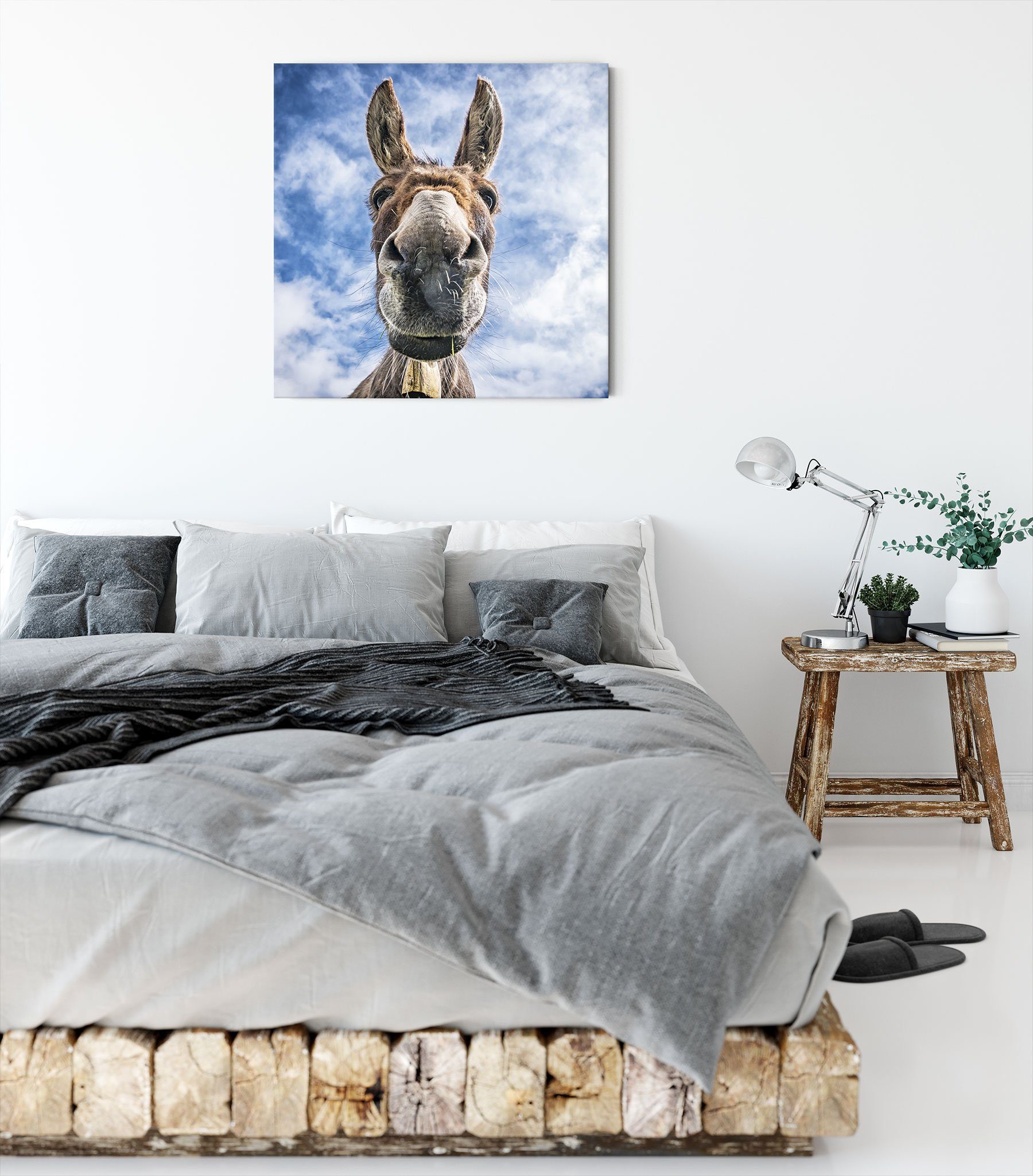 Pixxprint Leinwandbild Lustiger Esel, (1 St), Lustiger bespannt, Zackenaufhänger Leinwandbild fertig Esel inkl