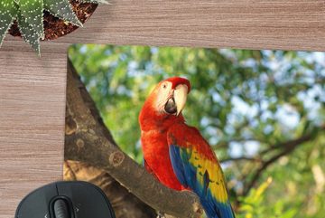 MuchoWow Gaming Mauspad Ara sitzt auf einem Baum (1-St), Mousepad mit Rutschfester Unterseite, Gaming, 40x40 cm, XXL, Großes