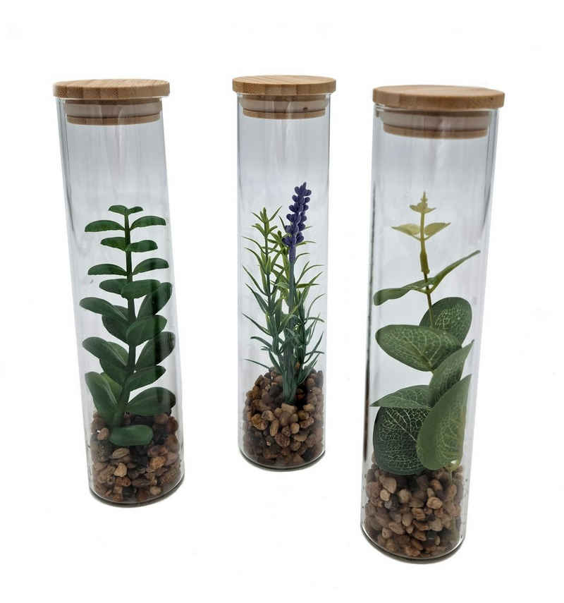 Kunstpflanze 3er Set Deko Kunstpflanze im Glas - 20 cm Kunstpflanze, Spetebo, Höhe 20.00 cm, Glasvase mit Holzdeckel