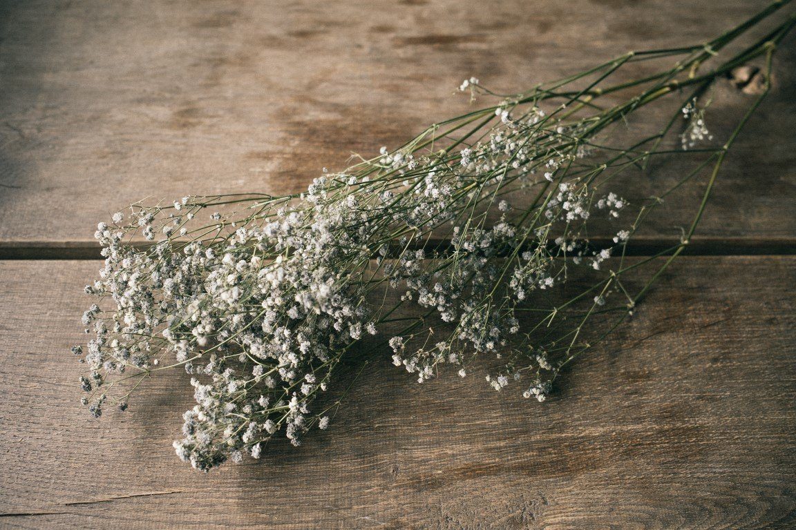 Trockenblume Schleierkraut Grau getrocknet im ca. 50-60cm paniculata, NaDeco Bund Gypsophila