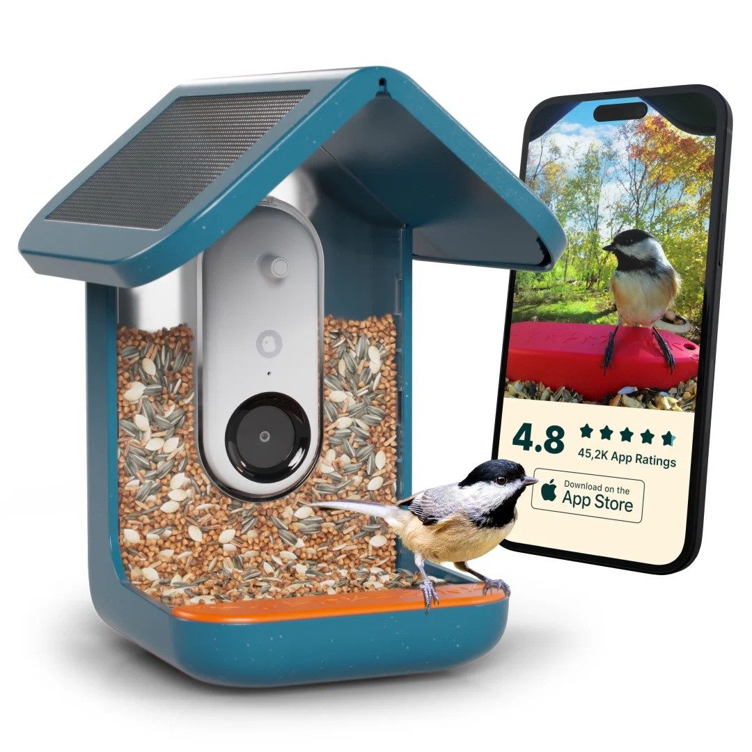 Bird Buddy Vogelhaus Smart Bird Feeder Pro 2.0, mit KI-Kamera und Solardach, blau