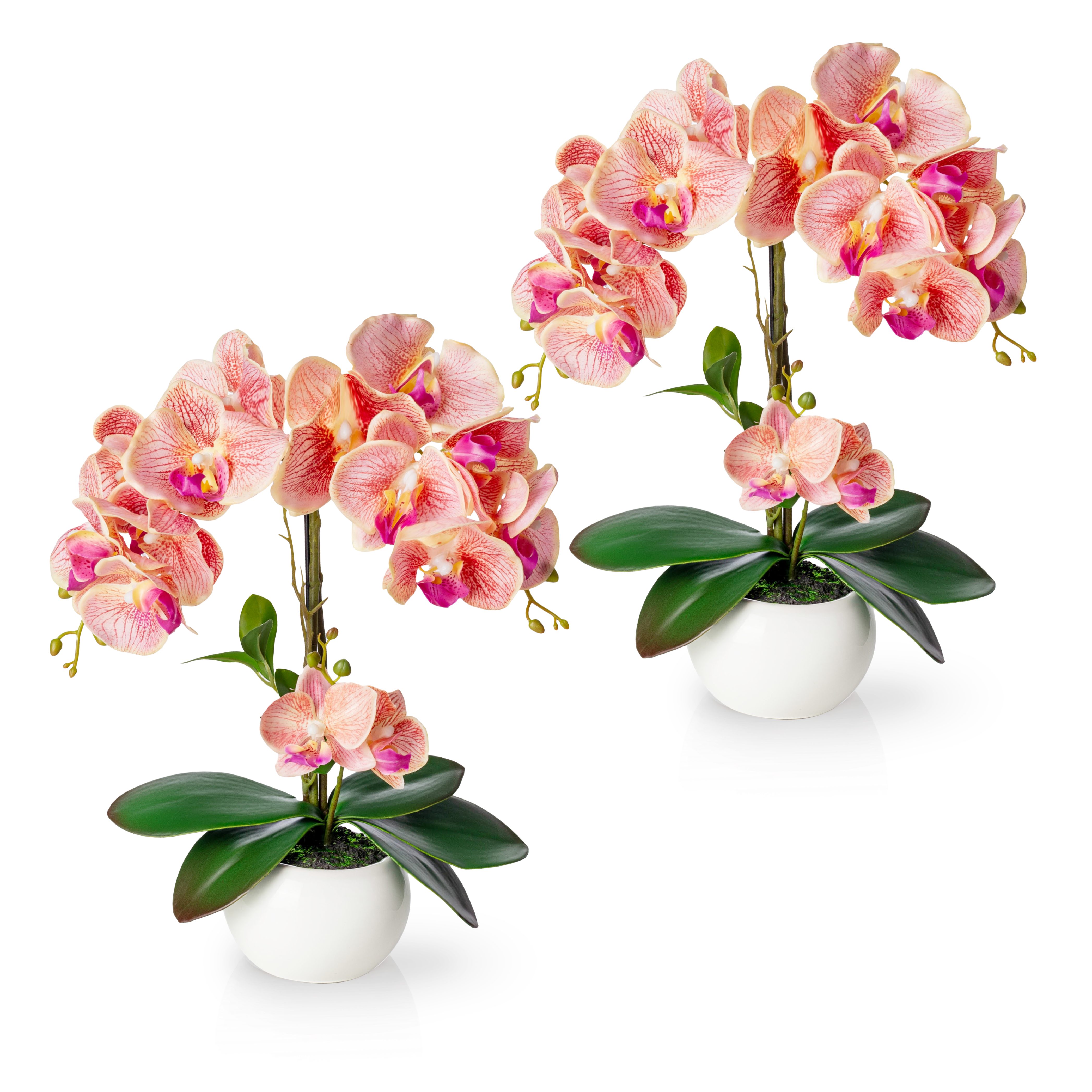 Kunstorchidee PASCH® Orchidee künstlich wie echt (40cm) in Hochglanz-Keramiktopf Orchidee, PASCH