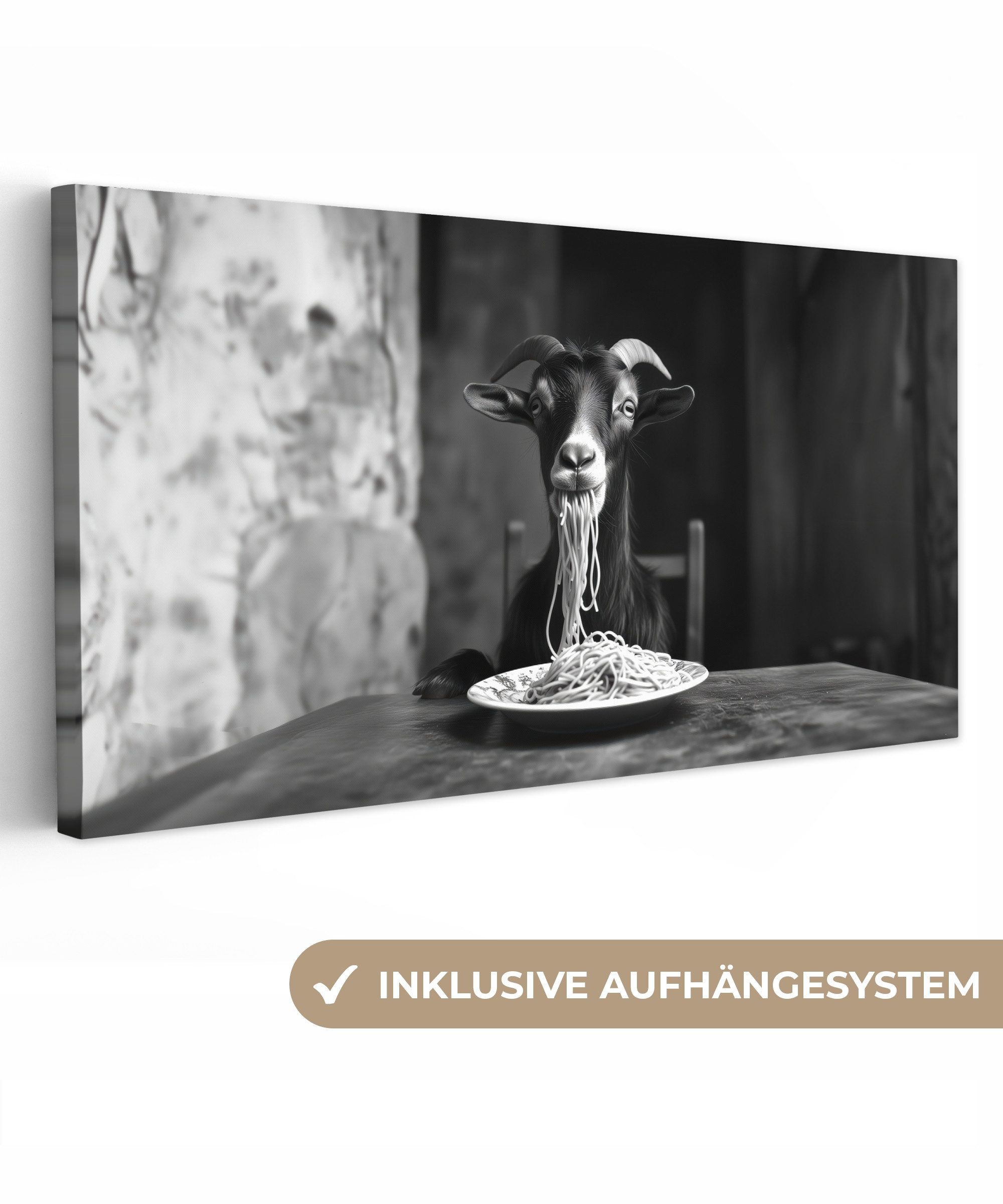 OneMillionCanvasses® Leinwandbild Panorama Ziege - Teller günstig online kaufen