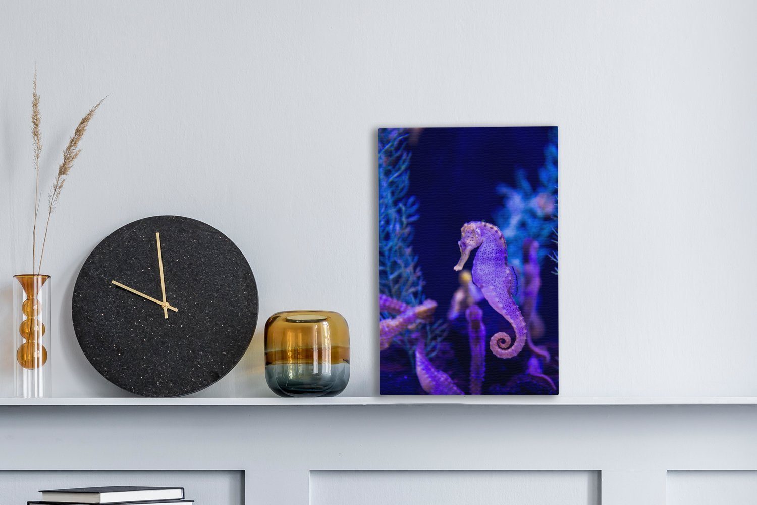 OneMillionCanvasses® Leinwandbild Seepferdchen mit Artgenossen., Fotodruck günstig online kaufen