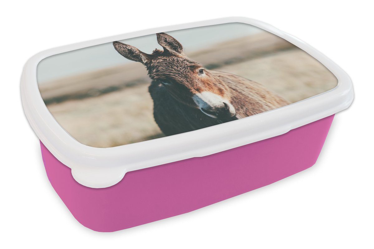 MuchoWow Lunchbox Esel - Porträt - Tier, Kunststoff, (2-tlg), Brotbox für Erwachsene, Brotdose Kinder, Snackbox, Mädchen, Kunststoff rosa