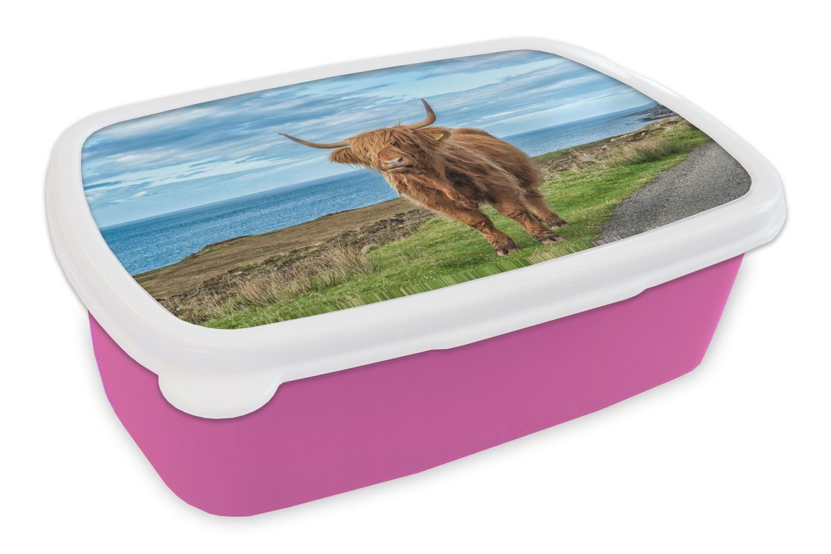 MuchoWow Lunchbox Schottischer Highlander - Wasser - Hörner, Kunststoff, (2-tlg), Brotbox für Erwachsene, Brotdose Kinder, Snackbox, Mädchen, Kunststoff rosa