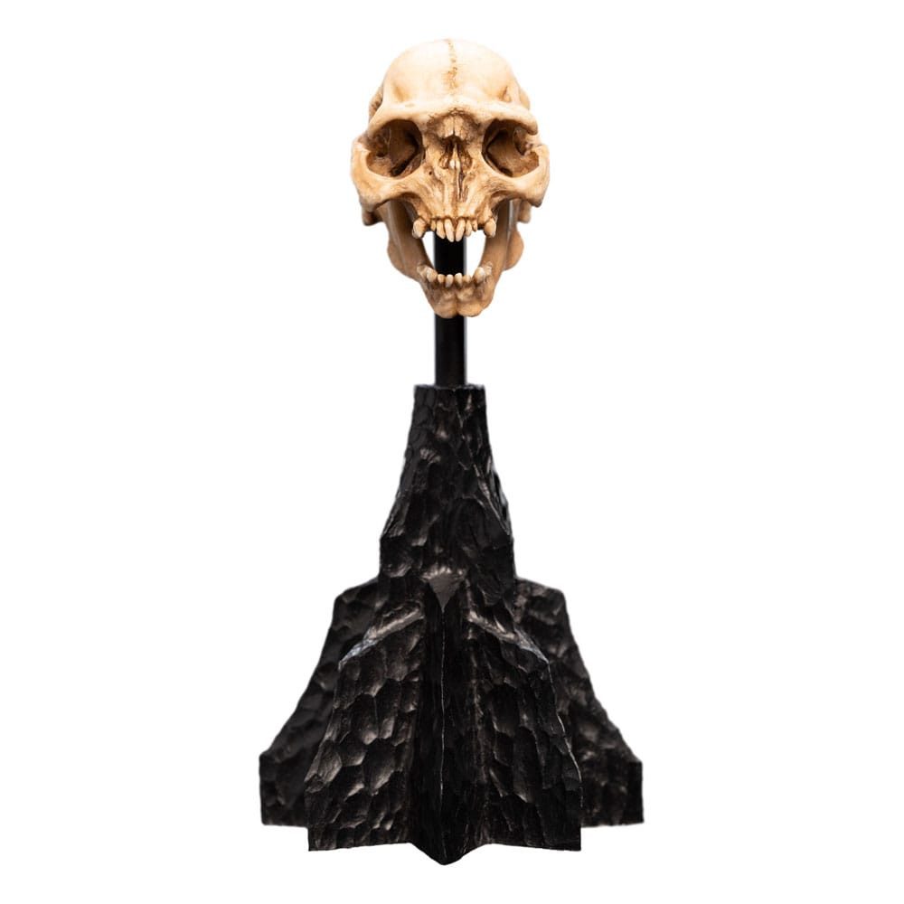 Weta Workshop Merchandise-Figur Herr der Ringe Mini Statue Skull of a Moria Orc 13 cm