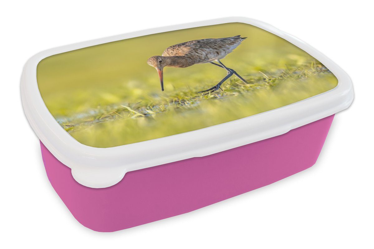 MuchoWow Lunchbox Vögel - Gras - Landschaft - Uferschnepfe, Kunststoff, (2-tlg), Brotbox für Erwachsene, Brotdose Kinder, Snackbox, Mädchen, Kunststoff rosa