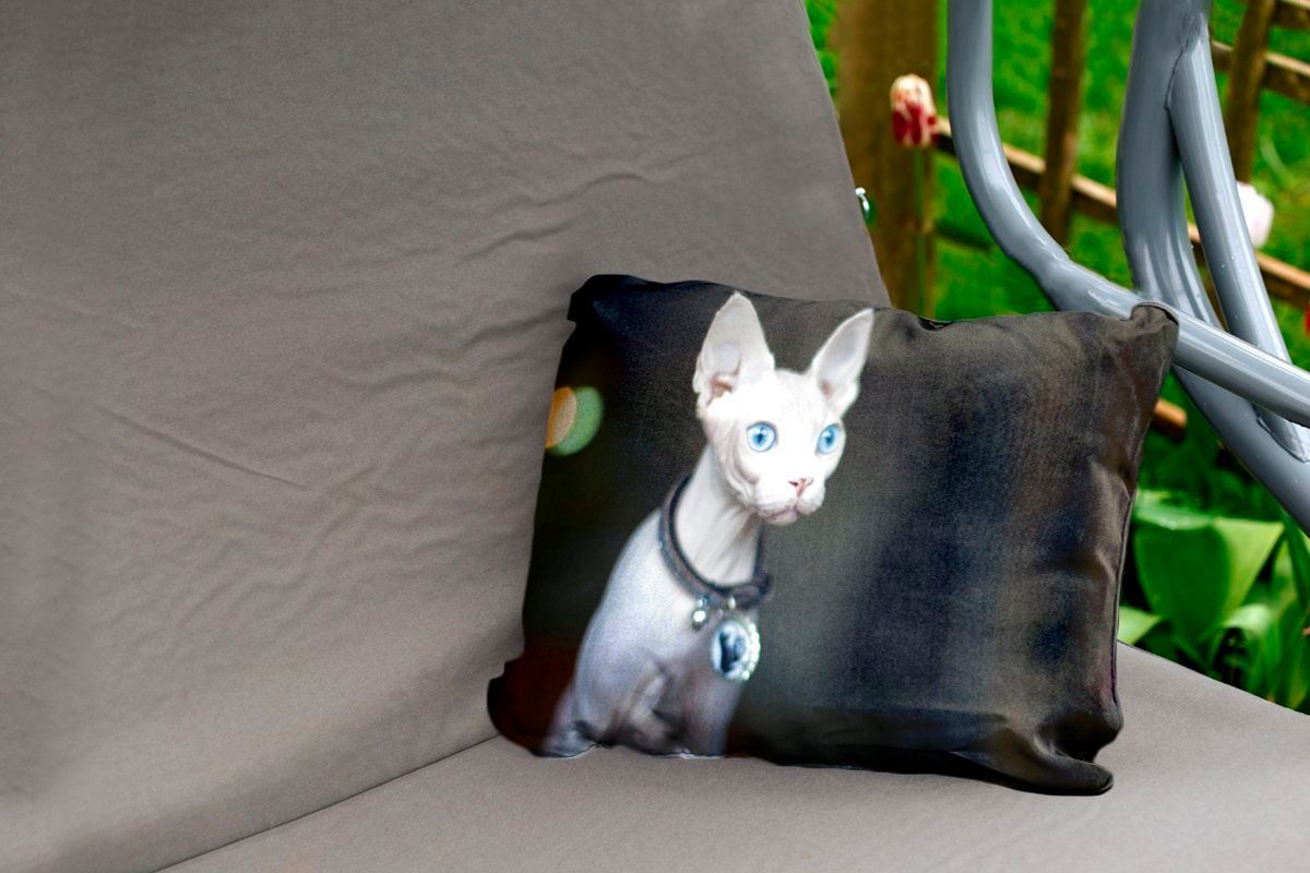 MuchoWow Dekokissen Sphynx-Katze Augen, mit Dekokissenbezug, Polyester, Kissenhülle Outdoor-Dekorationskissen, blauen auffallend