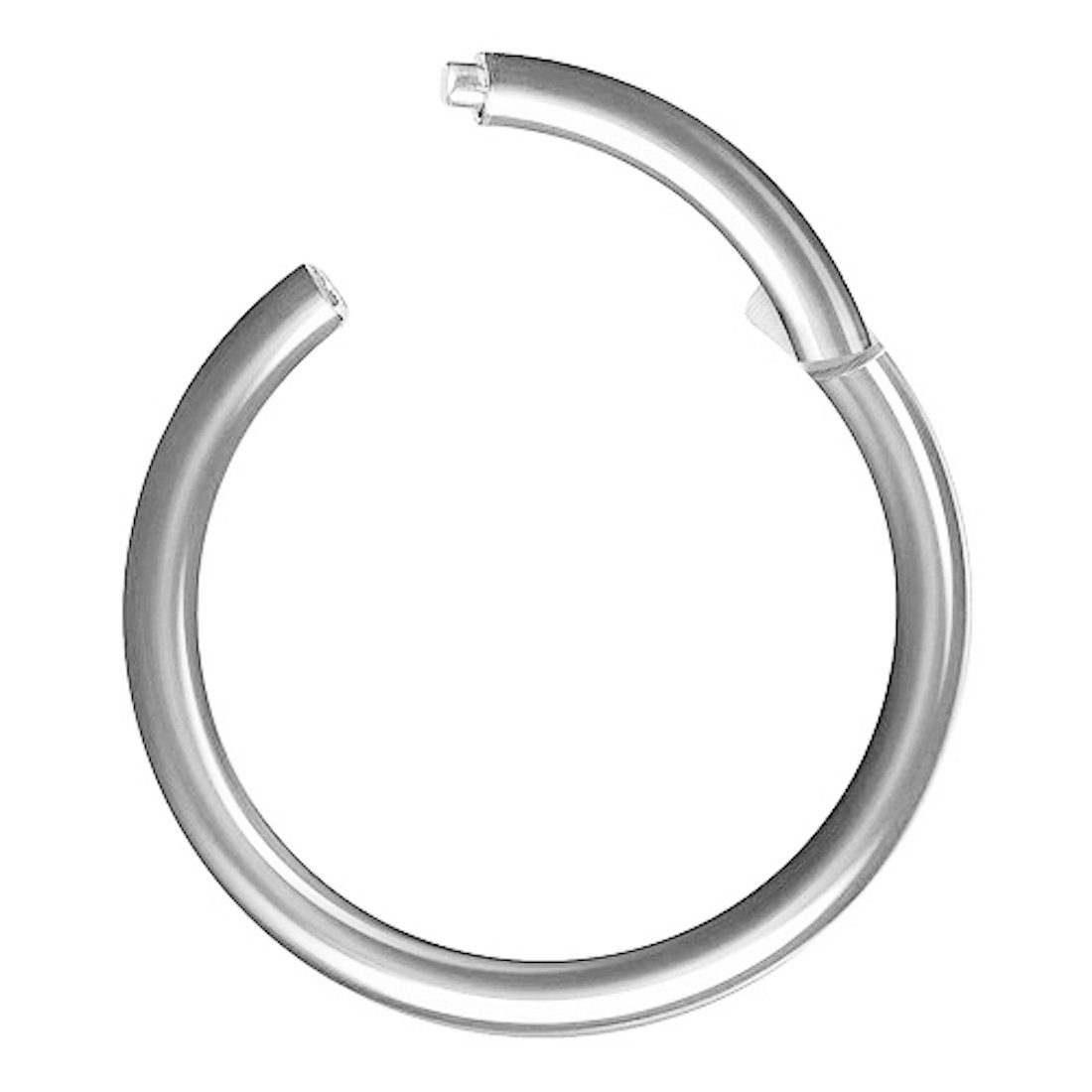 Taffstyle Nasenpiercing Segmentring Piercing Augenbrauen Chirurgenstahl, Scharnier Septum Klicker Silber Ring Lippe oder G23 Nase Ohr Brust Segment Titan