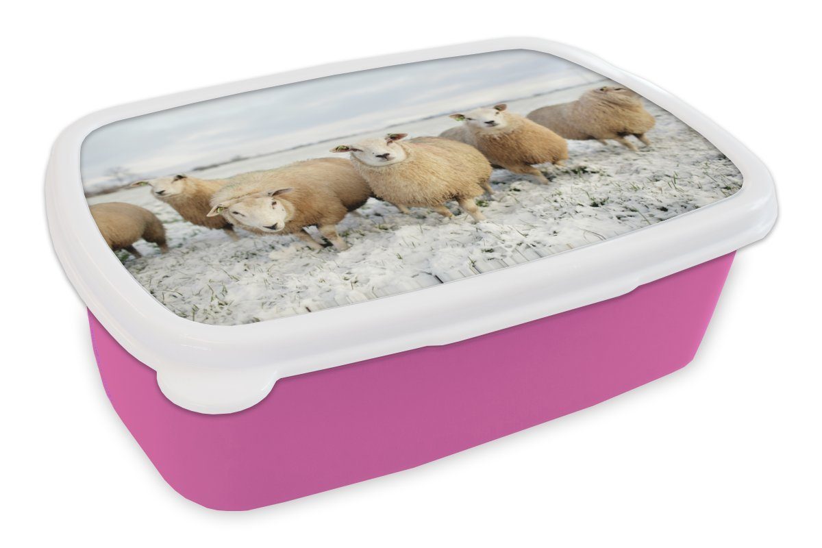 Mädchen, MuchoWow (2-tlg), Brotdose Snackbox, Gruppe Lunchbox für Schafen, rosa Kinder, Erwachsene, von neugierigen Kunststoff Brotbox Kunststoff,