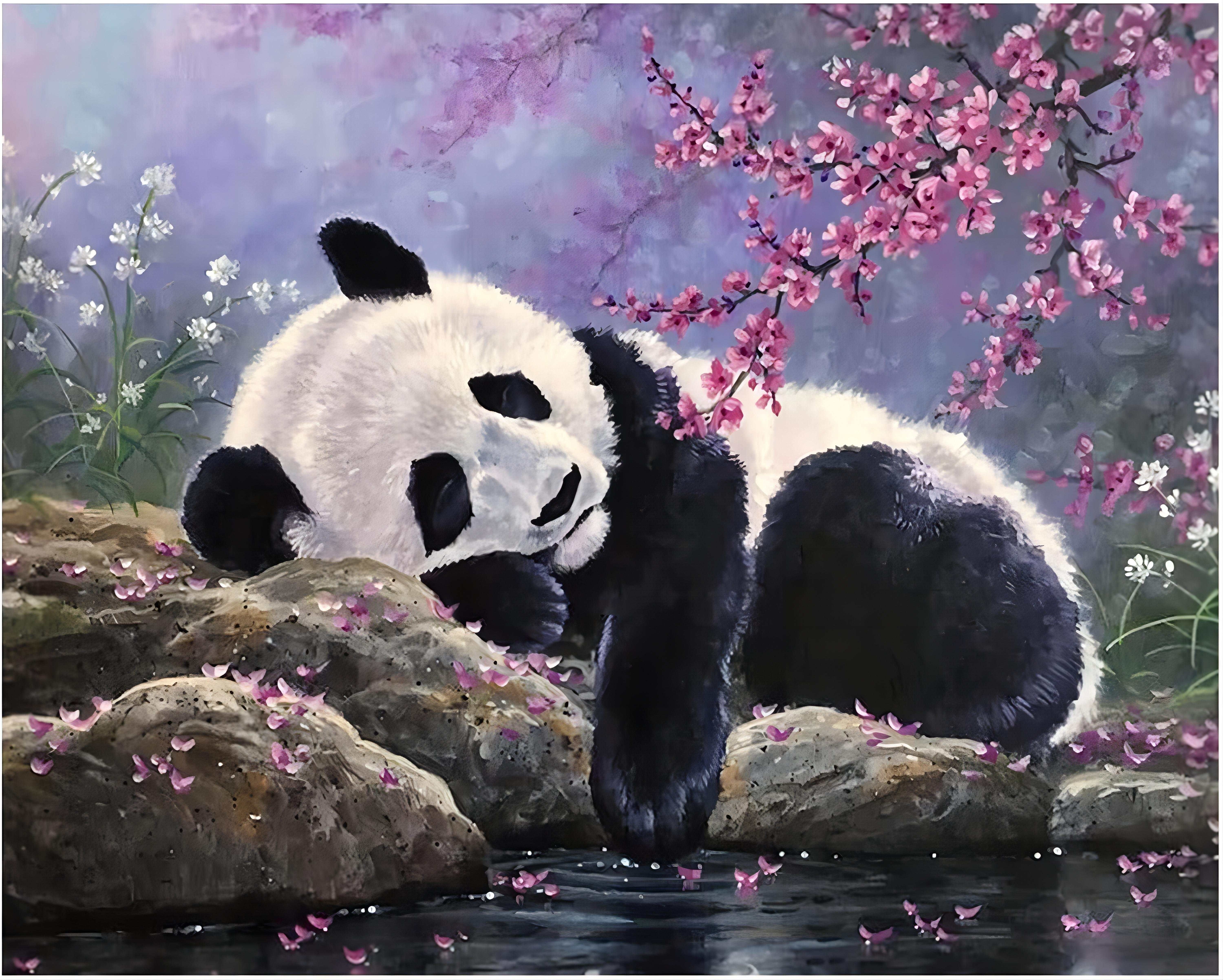 Malen nach Zahlen BASTELIDEE 5d Diamond Painting Set Motiv schlafender Panda