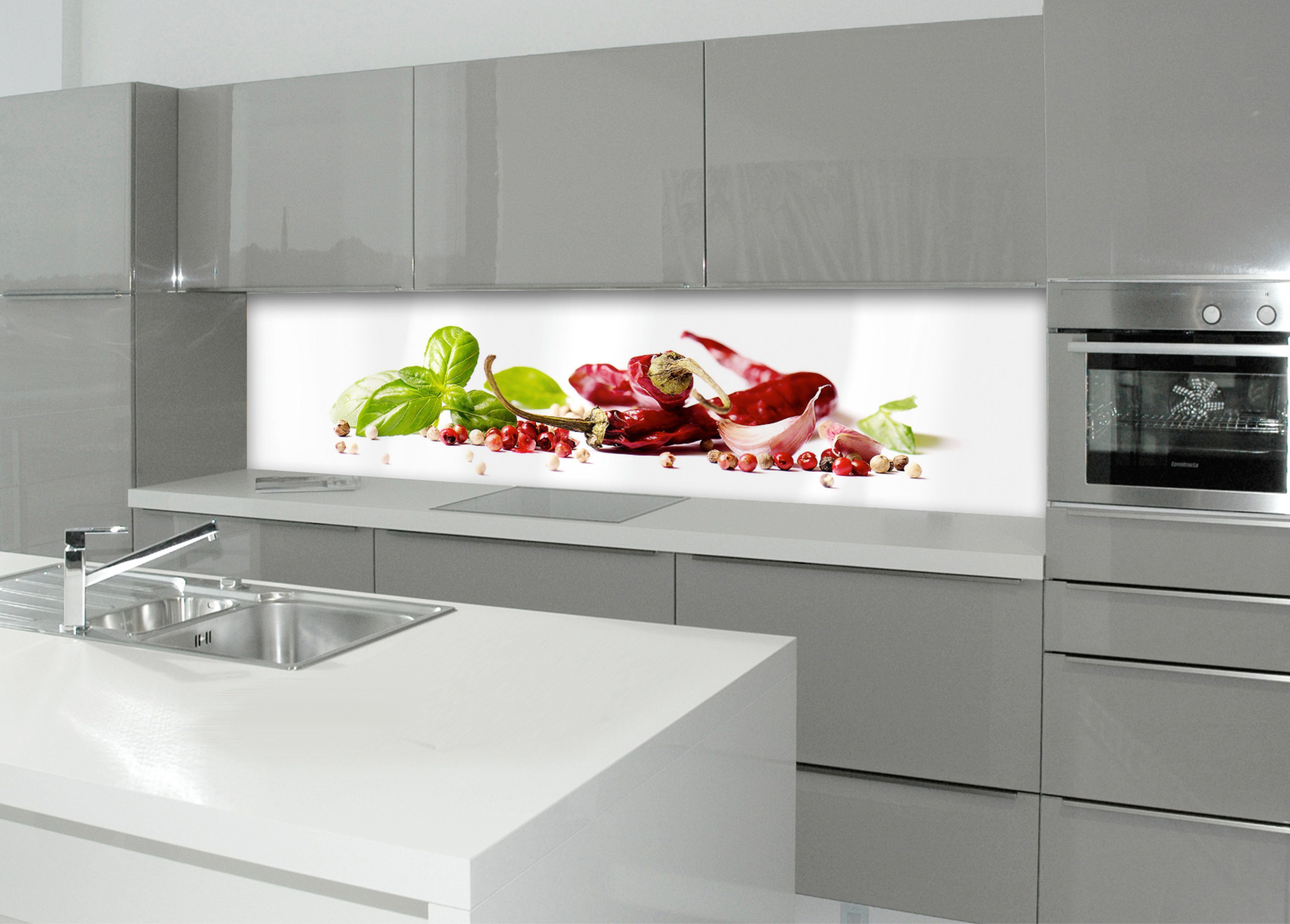 MySpotti Küchenrückwand »profix, Herbs & Spice«-HomeTrends
