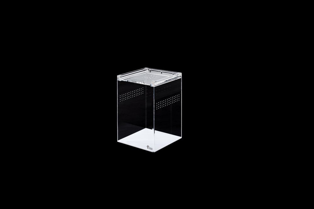 Terrarium ReptiZoo PlexiglasHOCHterrarium (Aufzuchtterrarium) 30,5 x 30,5 x 45 c