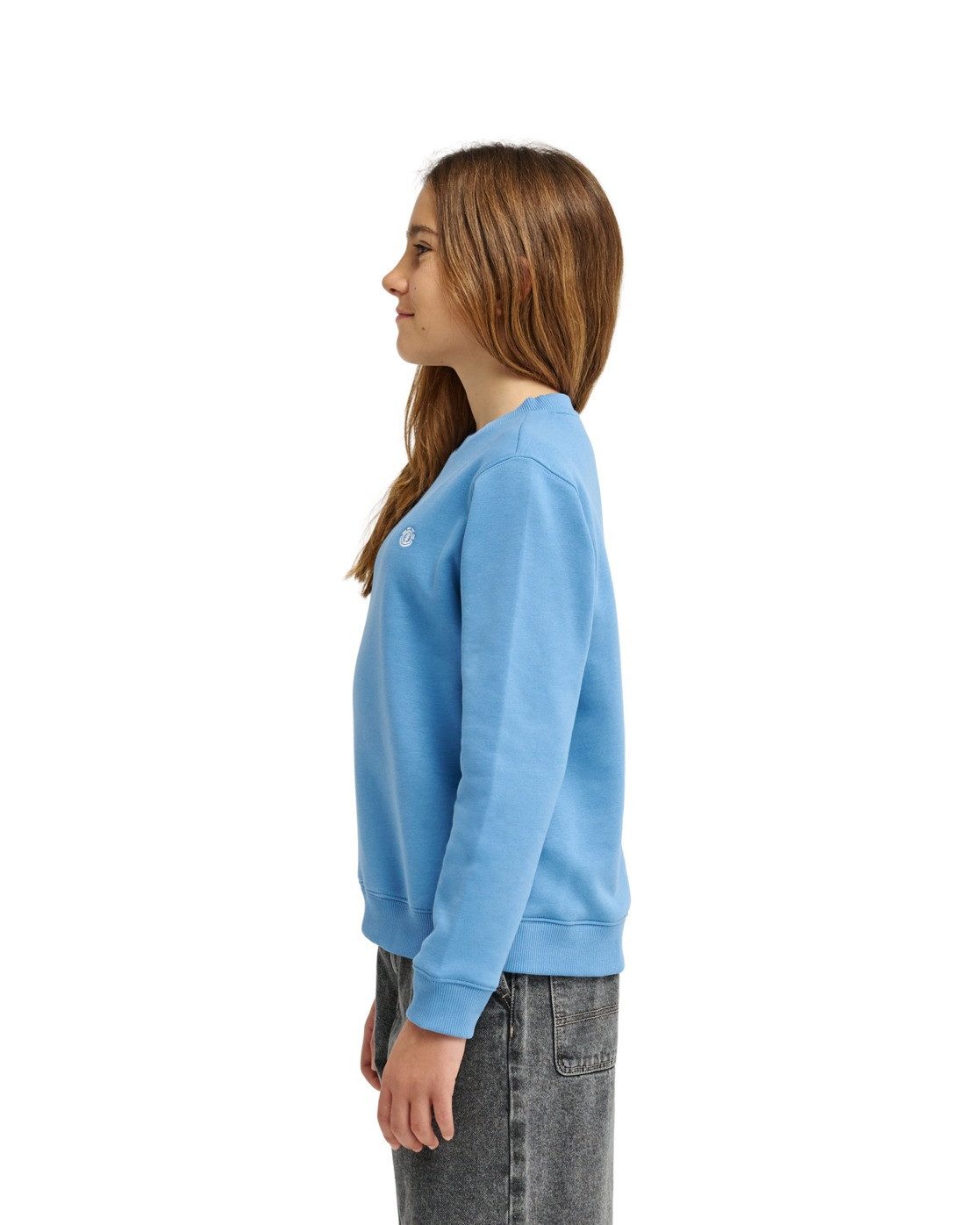 Element Sweatshirt Icon Embroidery