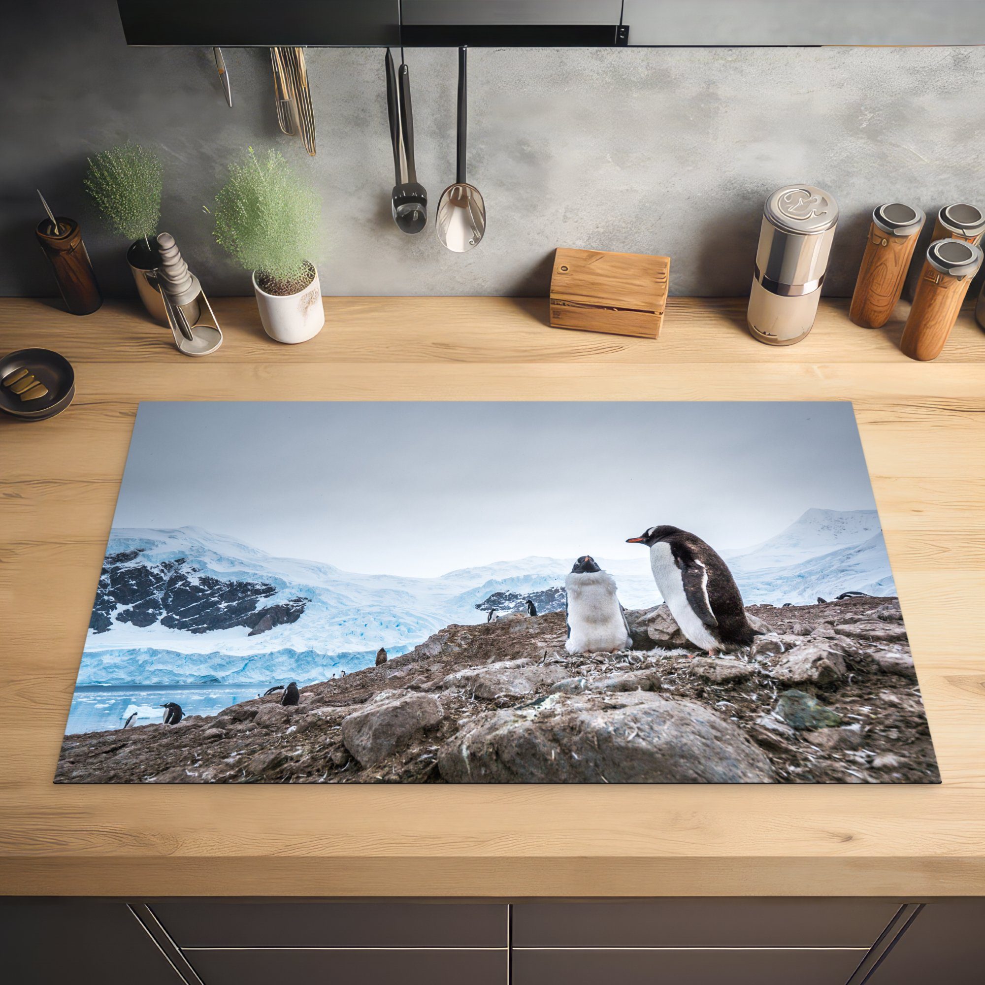 Antarktis, MuchoWow für Arbeitsplatte (1 stehen Ceranfeldabdeckung, auf einem der Vinyl, Herdblende-/Abdeckplatte cm, Pinguine in küche 83x51 tlg), Felsen