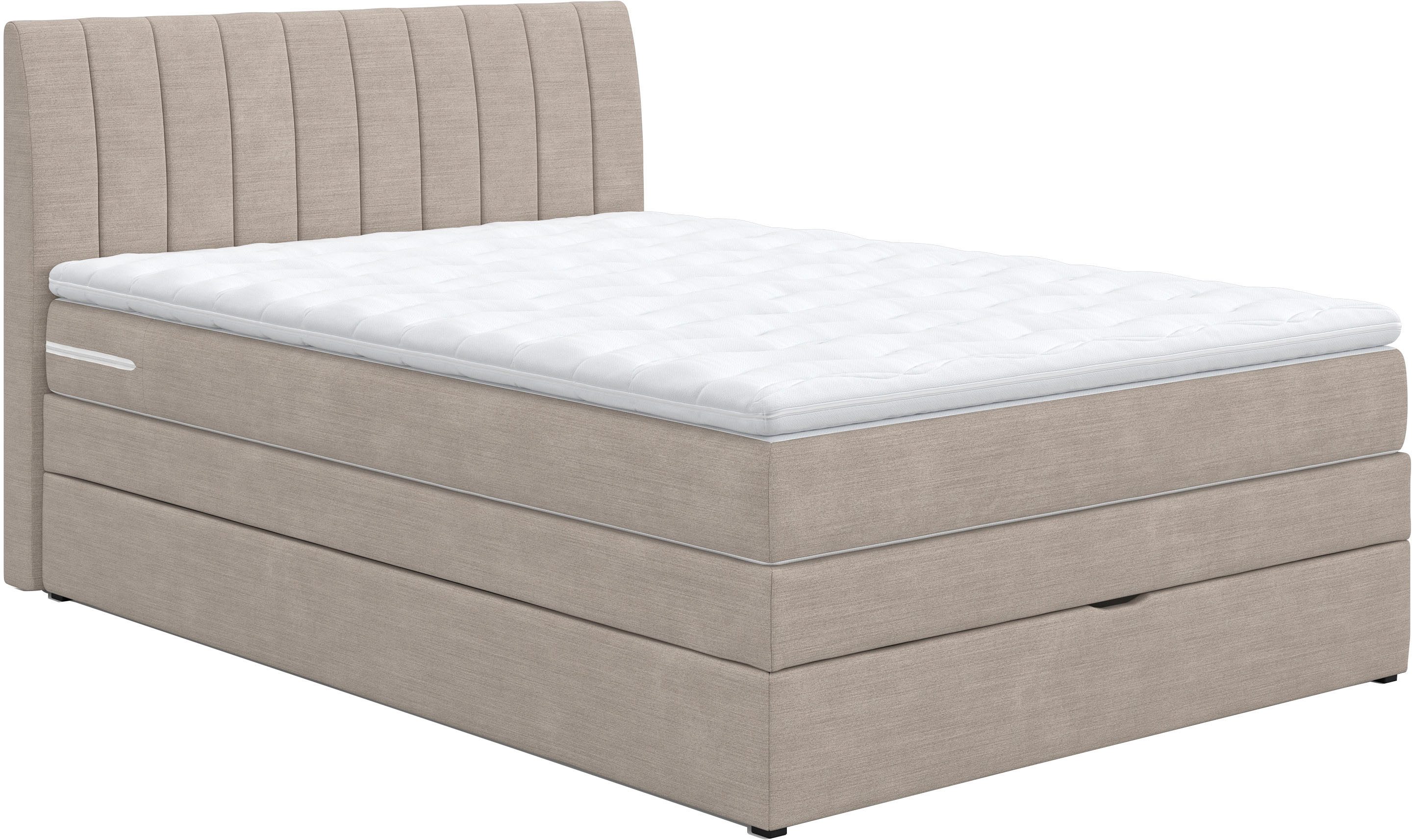 COTTA Boxspringbett Shark inkl. Bettkasten und Topper, erhältlich in den Breiten 140x200cm, 160x200cm und 180x200cm