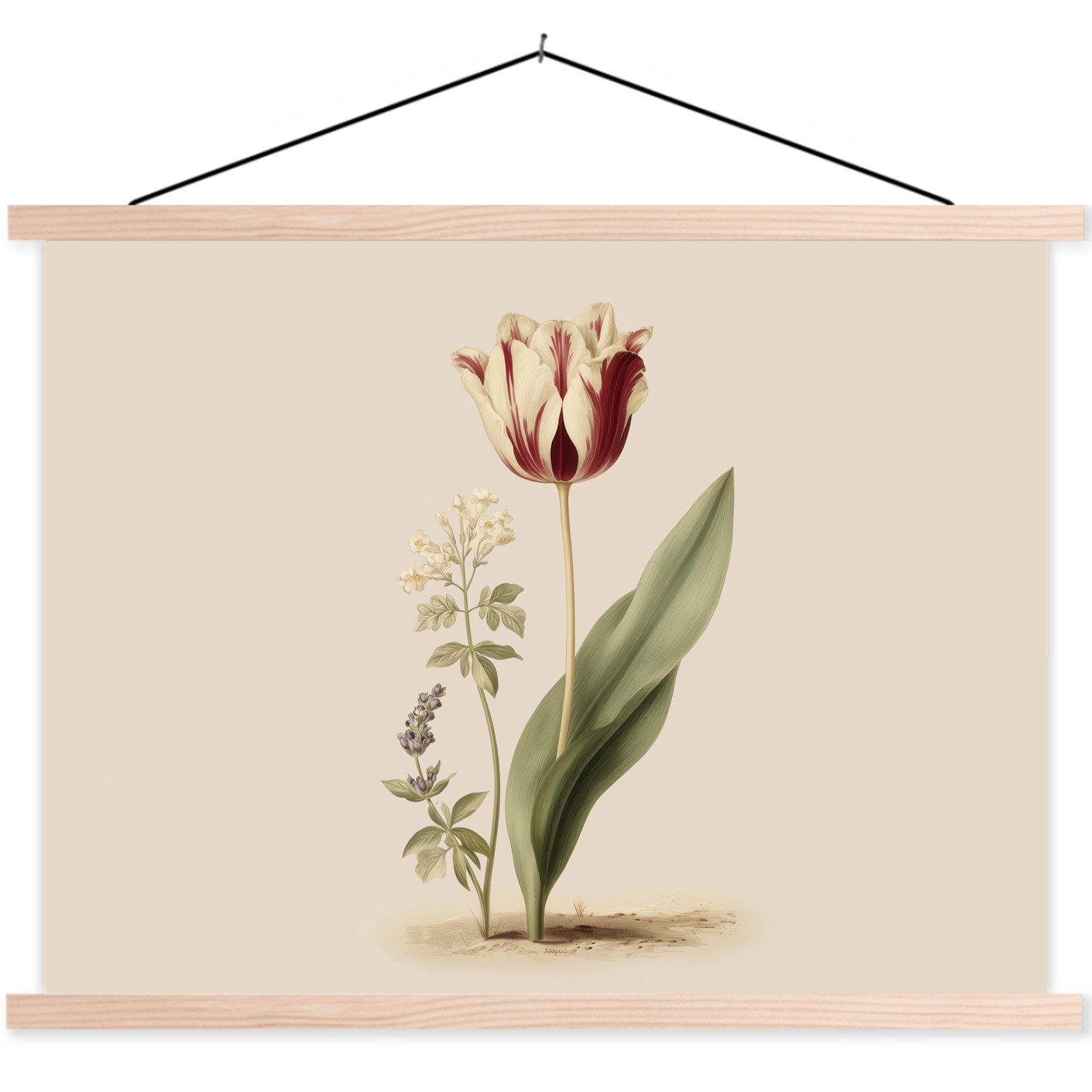 Poster Tulpe - Minimalistisch - Beige
