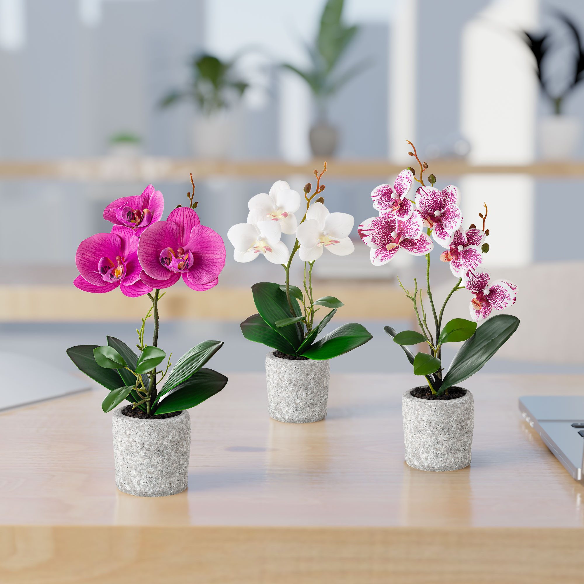 Kunstorchidee 3er Set künstliche Orchideen wie echt (35cm) in Hochglanz-Keramiktopf Orchidee, PASCH