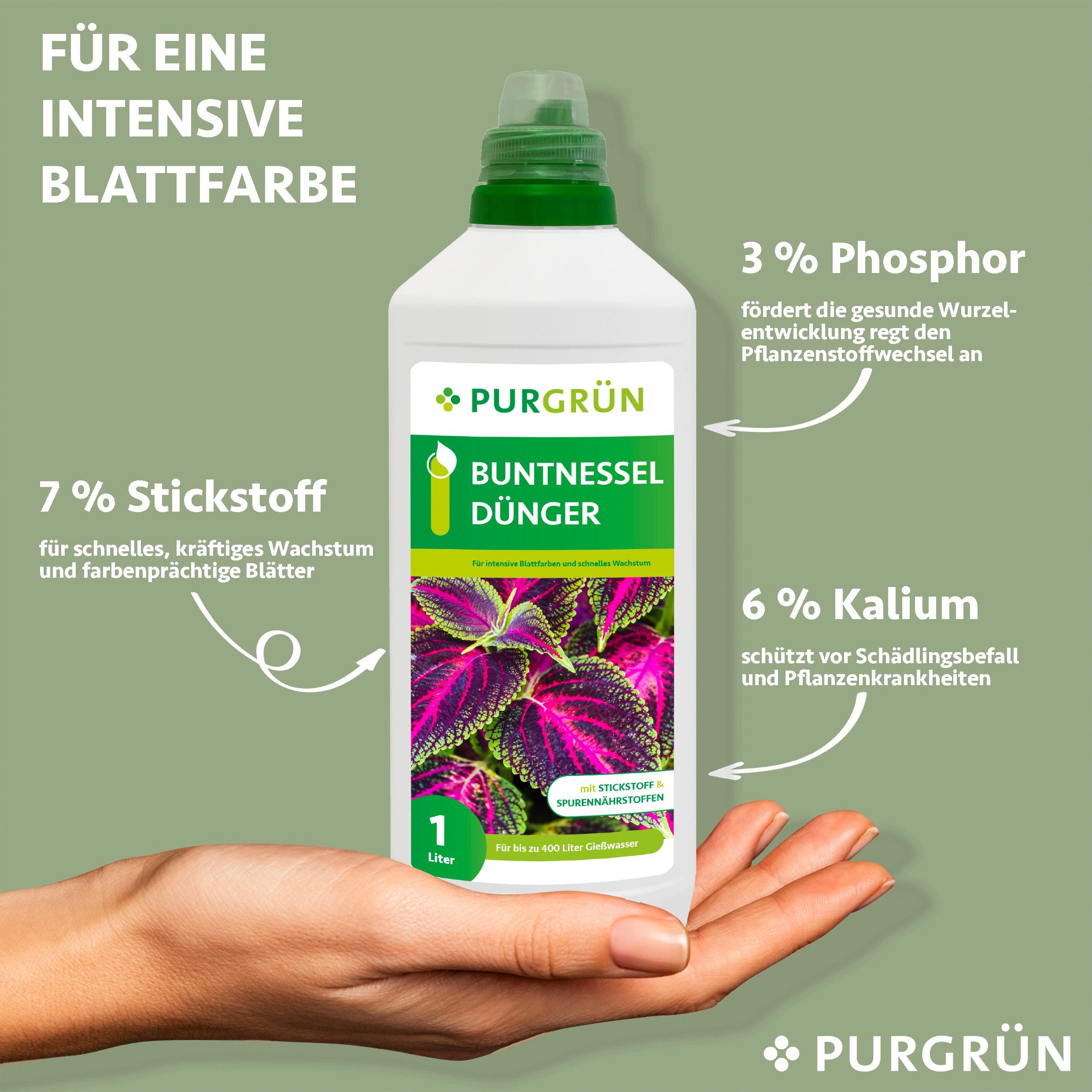 Purgrün Blumendünger Purgrün Buntnessel Dünger, NPK günstig online kaufen