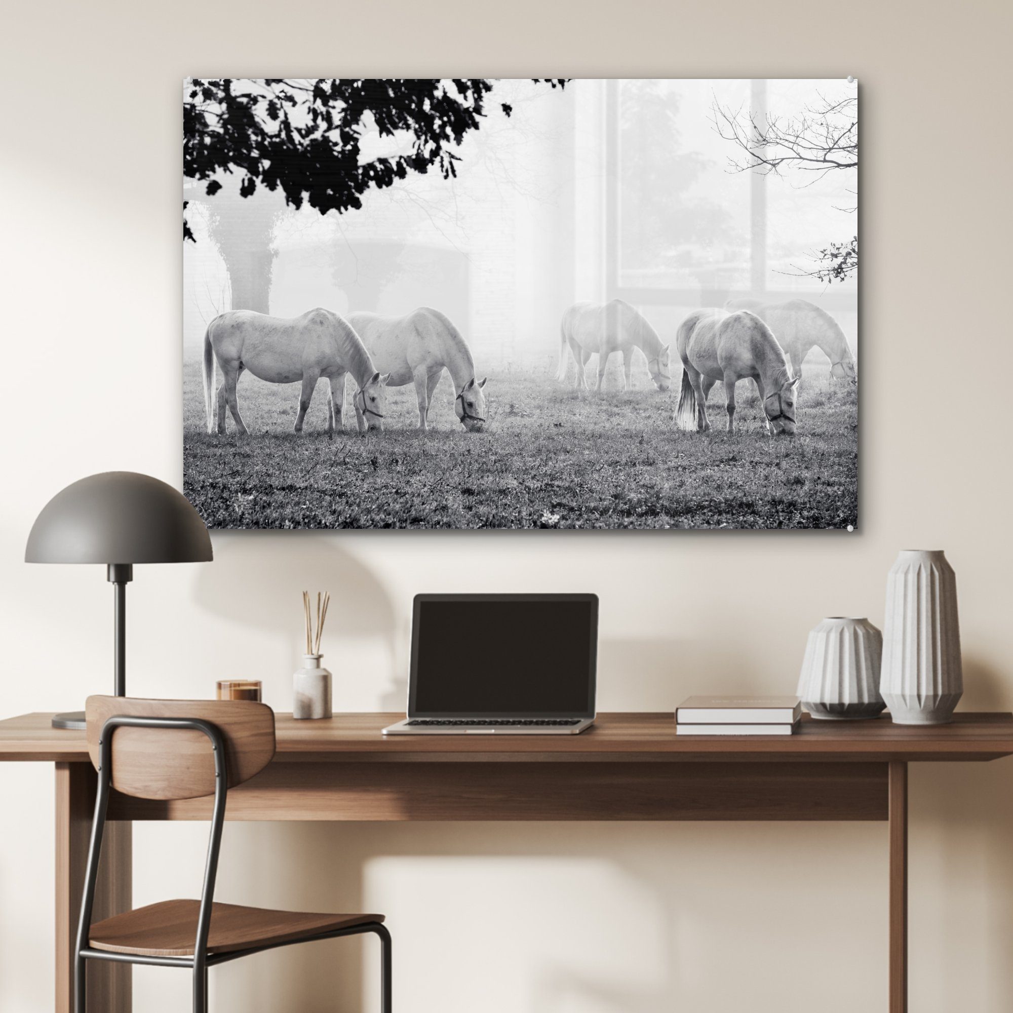 - Lipizzaner Schwarz (1 & - St), - Schlafzimmer Acrylglasbild Weiß, Wohnzimmer MuchoWow Pferde Acrylglasbilder