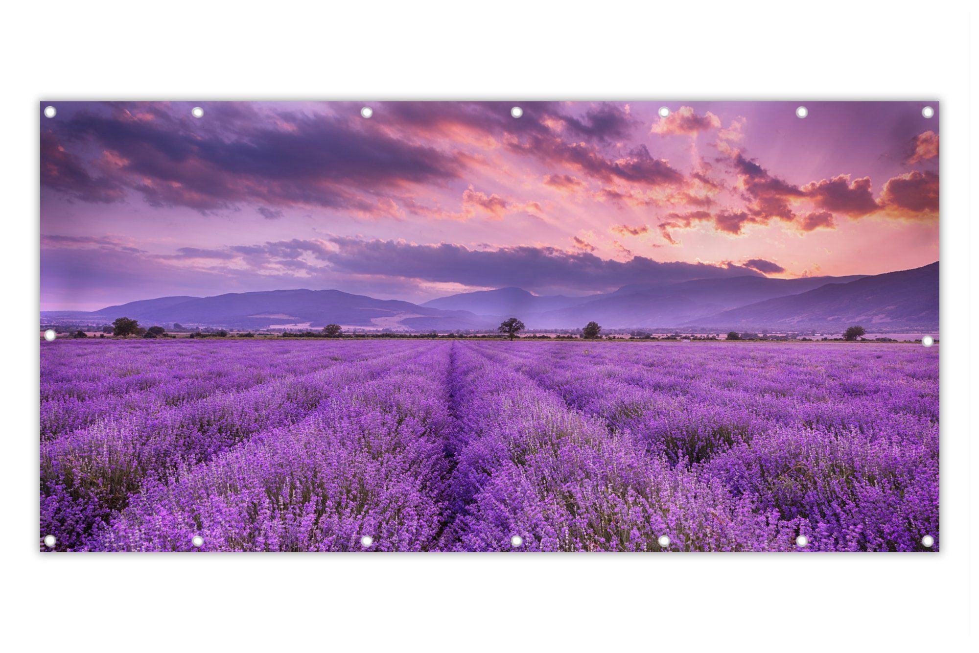 MuchoWow Balkonsichtschutz »Lavendel Lila Blumen Feld« (1St