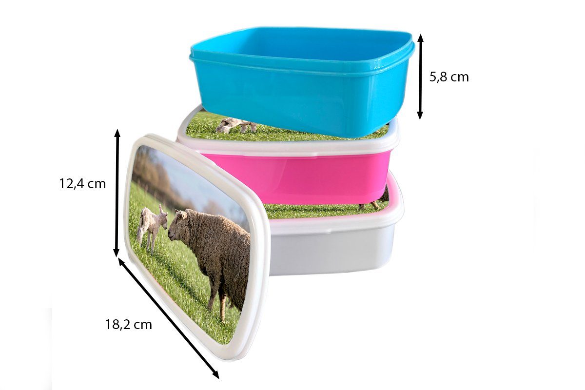 Lunchbox Snackbox, für - Brotbox Schafe Erwachsene, rosa (2-tlg), Gras, Brotdose Kunststoff, Mädchen, - Kunststoff Sonne MuchoWow Kinder,