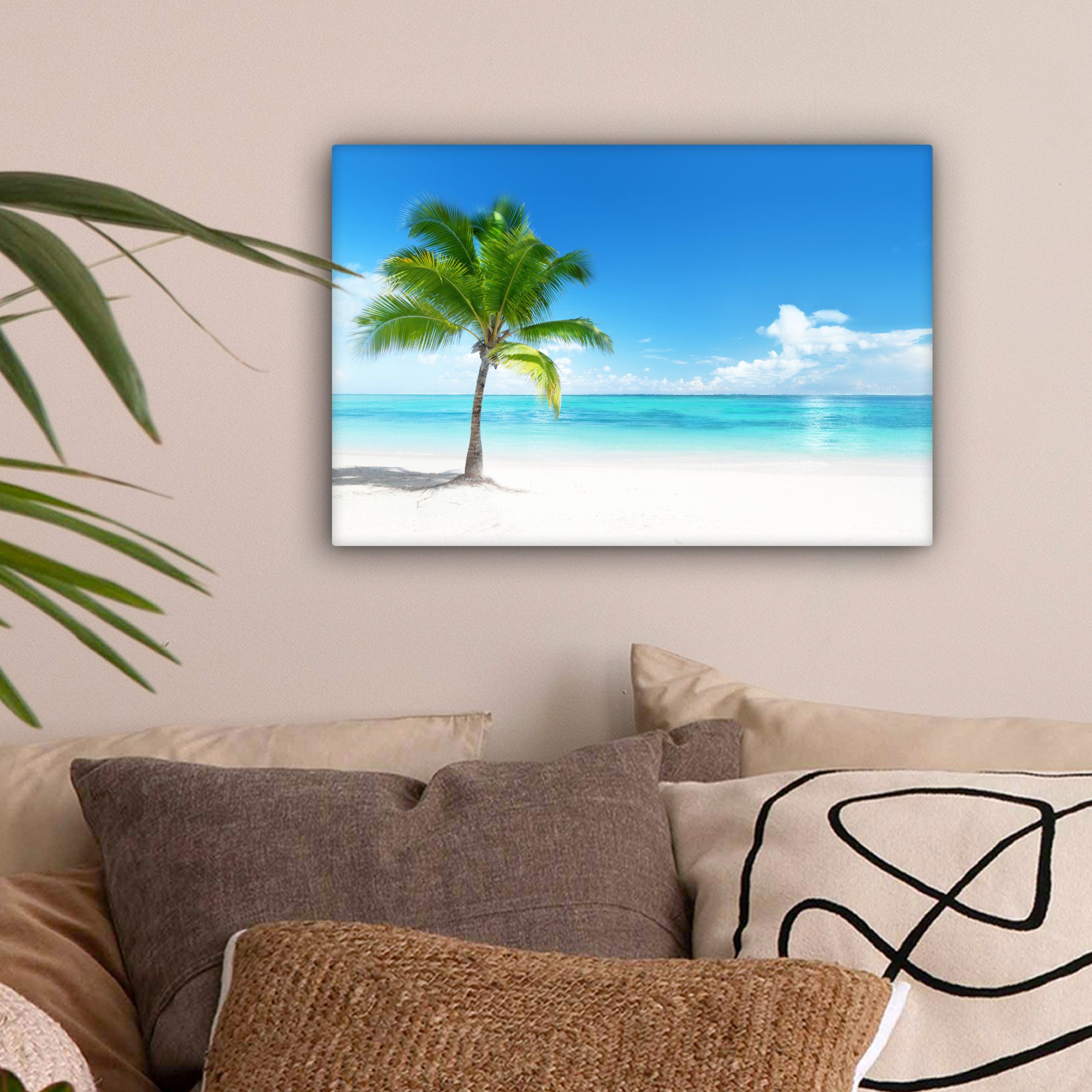 OneMillionCanvasses® Leinwandbild Palme - Strand - günstig online kaufen