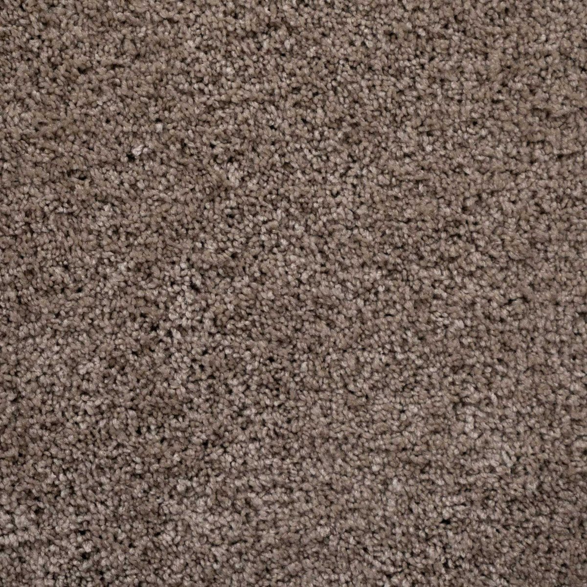 BRICOFLOR Teppichfliese Schatex Noblesse, quadratisch, Teppichfliesen günstig online kaufen