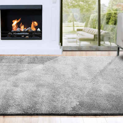 Hochflor-Teppich Shaggy-Teppich Prestige Silbergrau, Erhältlich in 5 Farben, Floordirekt, rechteckig, Höhe: 30 mm, Extra flauschig