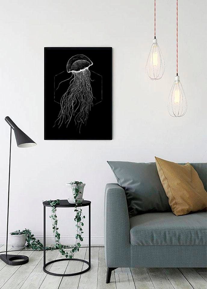 Tiere Komar Wohnzimmer Schlafzimmer, (1 Kinderzimmer, St), Poster Black, Jellyfish