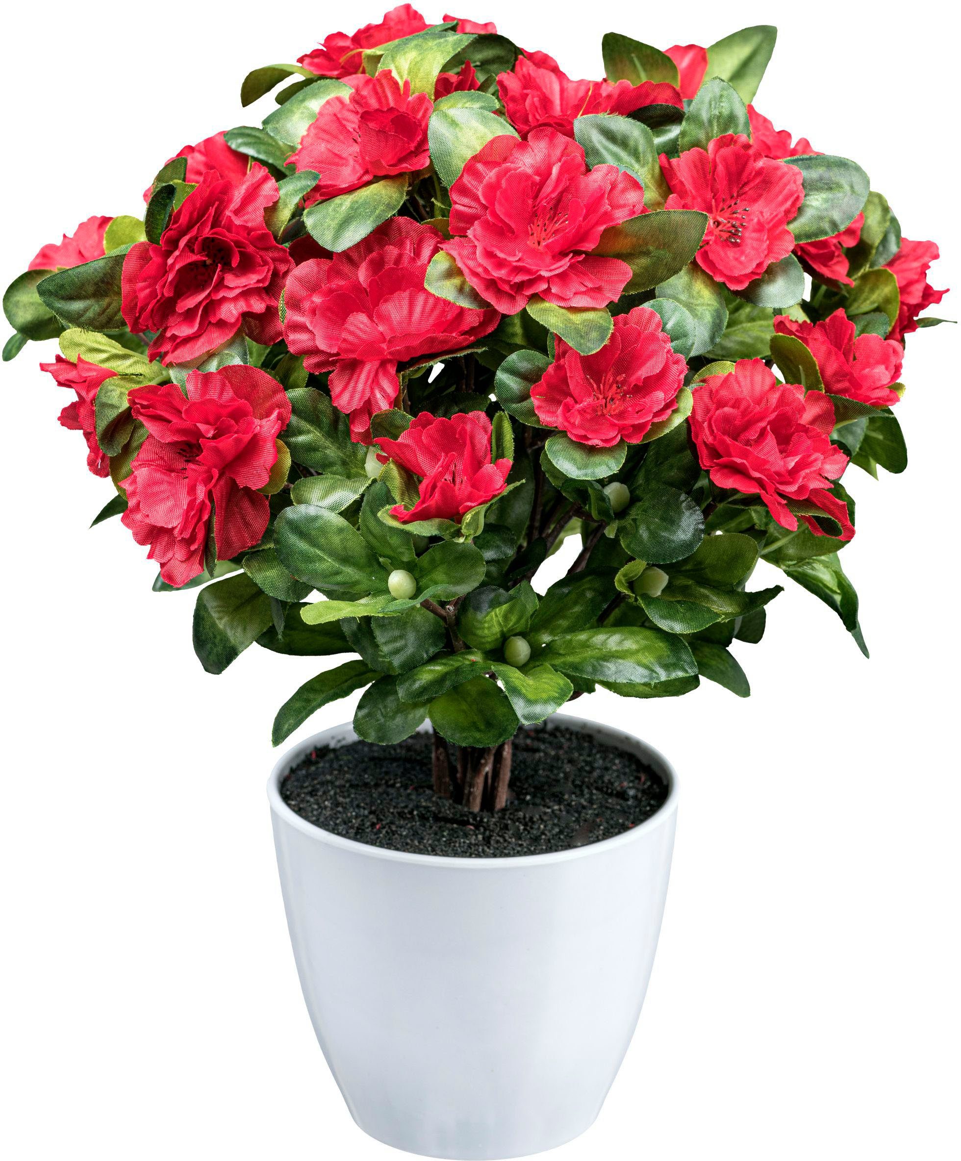 Kunstblume Azaleenbusch Azalee, Creativ green, Höhe 32 cm günstig online kaufen