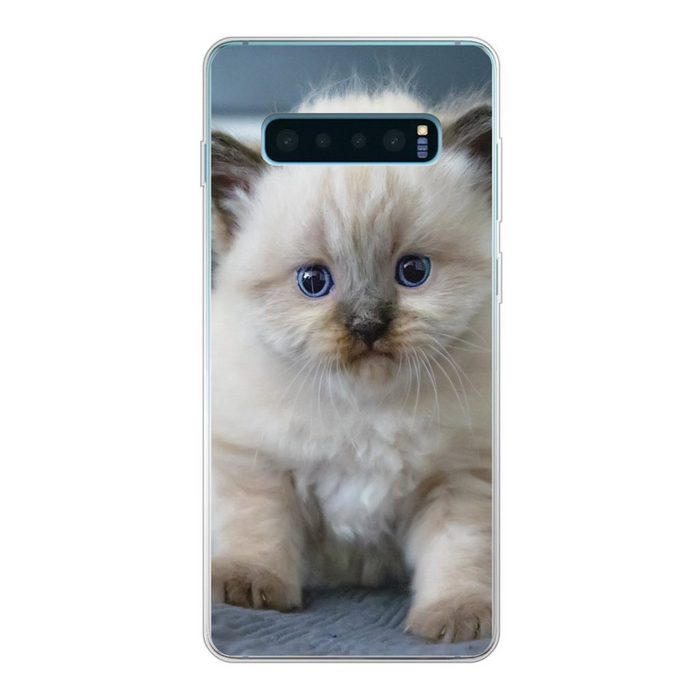 MuchoWow Handyhülle Kätzchen - Katze - Tier Phone Case Handyhülle Samsung Galaxy S10 Lite Silikon Schutzhülle