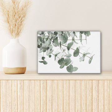 OneMillionCanvasses® Leinwandbild Eukalyptus - Blätter - Natur - Grün, Grun, Weiß (1 St), Leinwand Bilder Klein, Wand Dekoration 30x20 cm