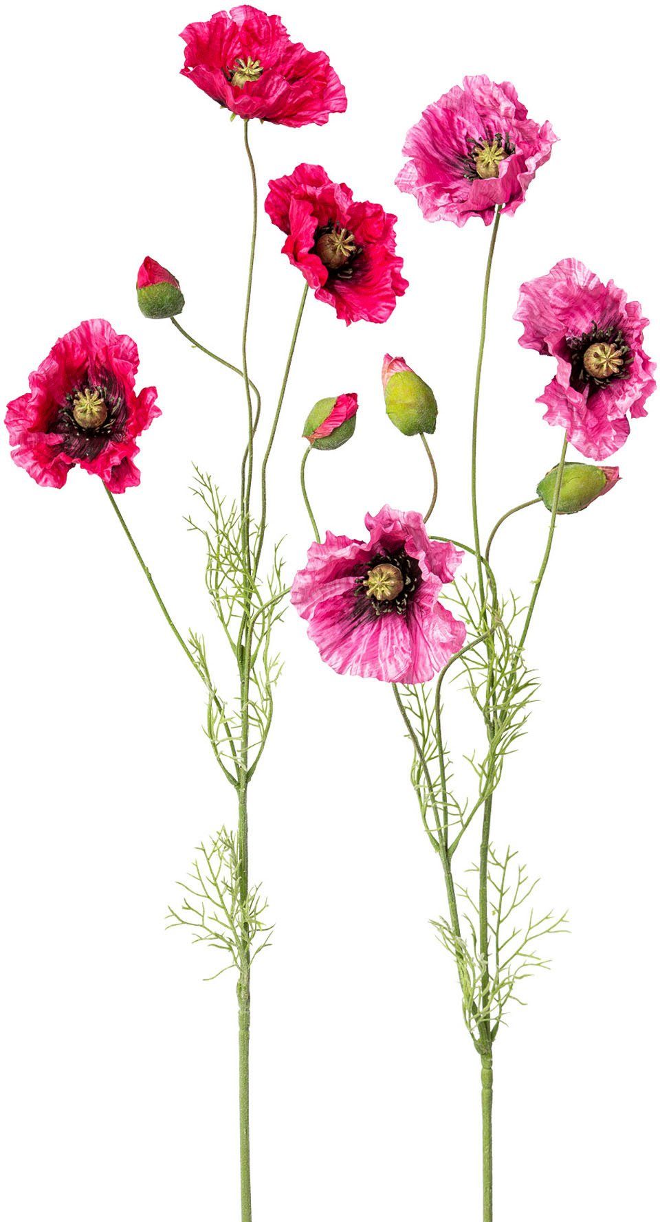 Kunstblume Mohn Mohn, Creativ green, Höhe günstig online kaufen