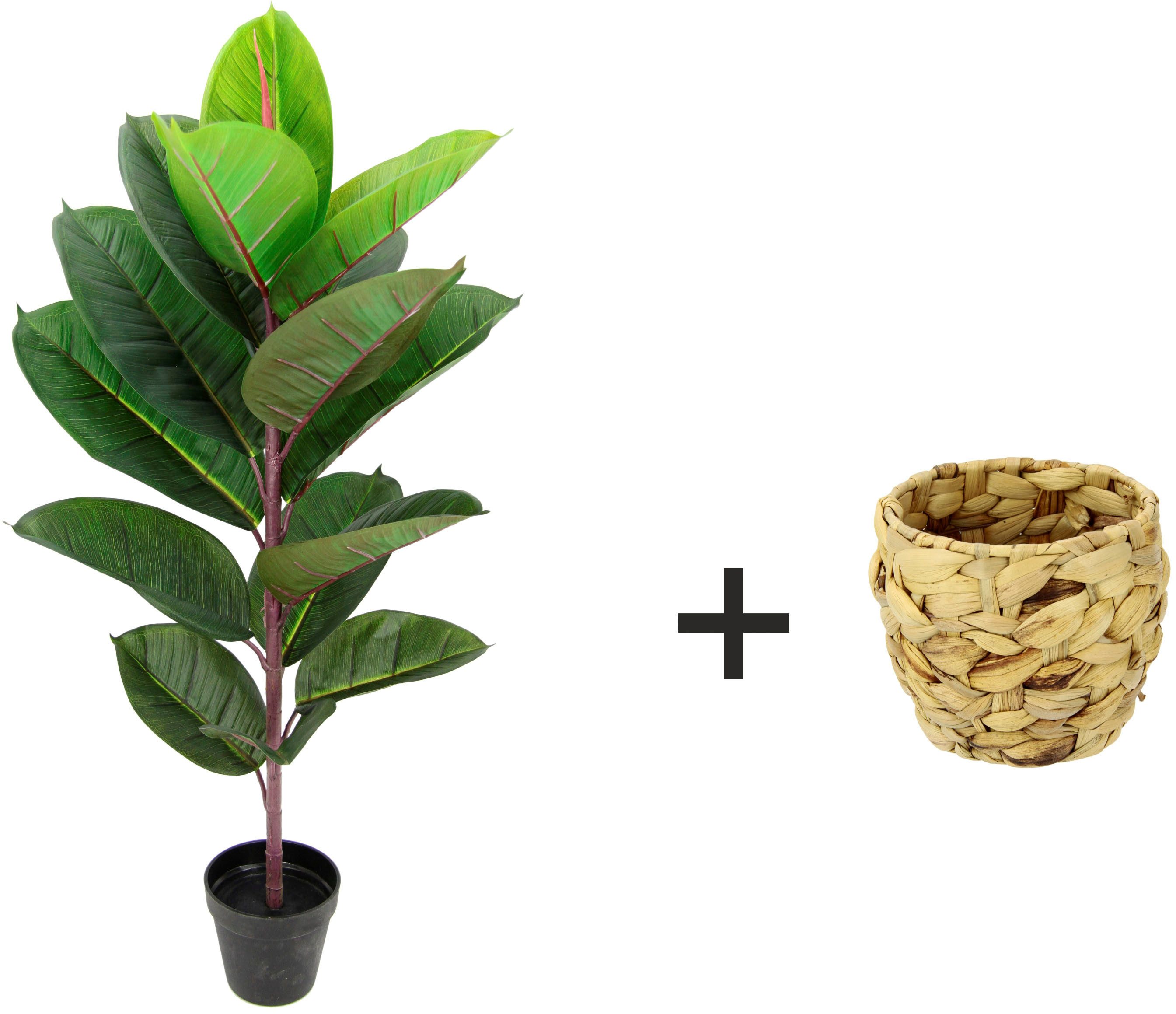 Kunstbaum Gummibaum, I.GE.A., Höhe 84 cm, Mit Übertopf, Ficus Elastica