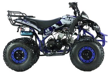 KXD Quad 125ccm Quad ATV Kinder Pitbike 4 Takt Motor Quad 8 Zoll KXD 008 Blau