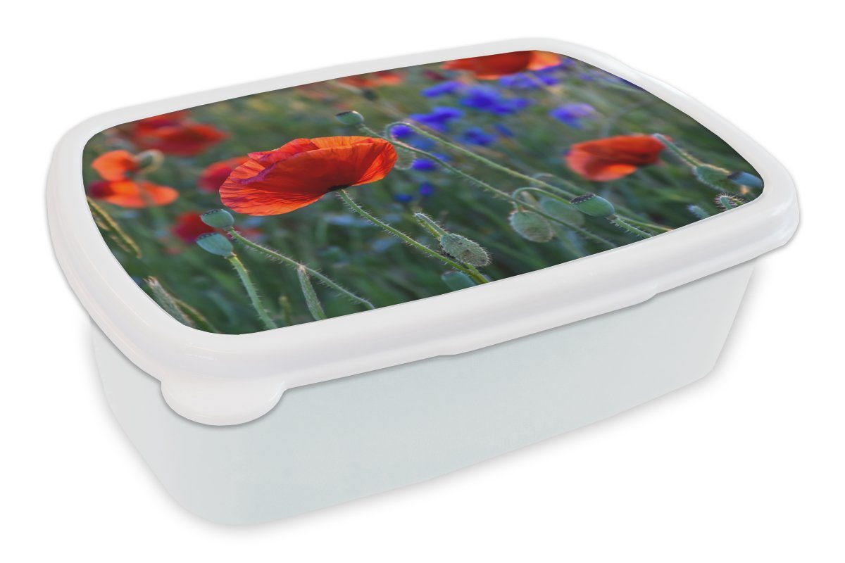 Jungs Brotdose, und und für Kinder (2-tlg), in Erwachsene, für weiß Niederlanden, den MuchoWow Mohnblumen Lunchbox Mädchen Kunststoff, Bunte Brotbox